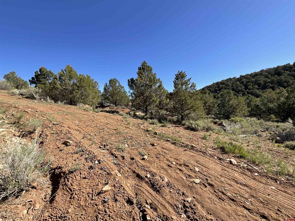 Montrose, Colorado, 81403, United States, ,Land,For Sale,1919926
