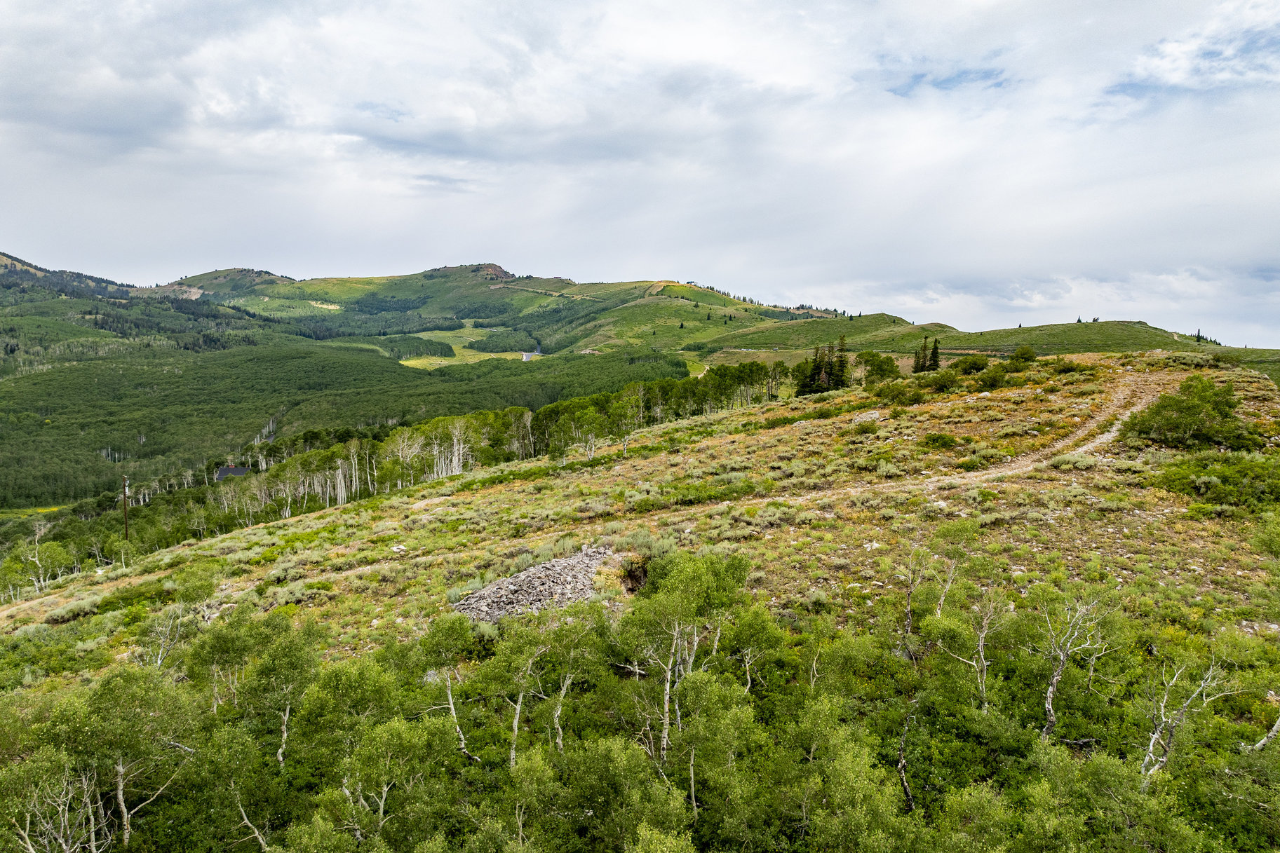  24 Acre Development Parcel in Bonanza Flats - 物件實景