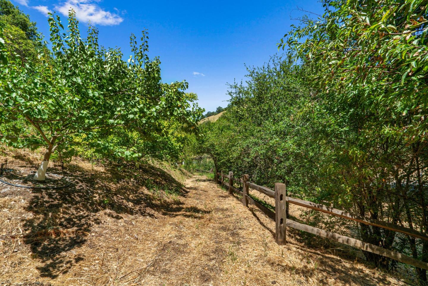 Los Gatos, California, 95032, United States, ,Land,For Sale,1918343