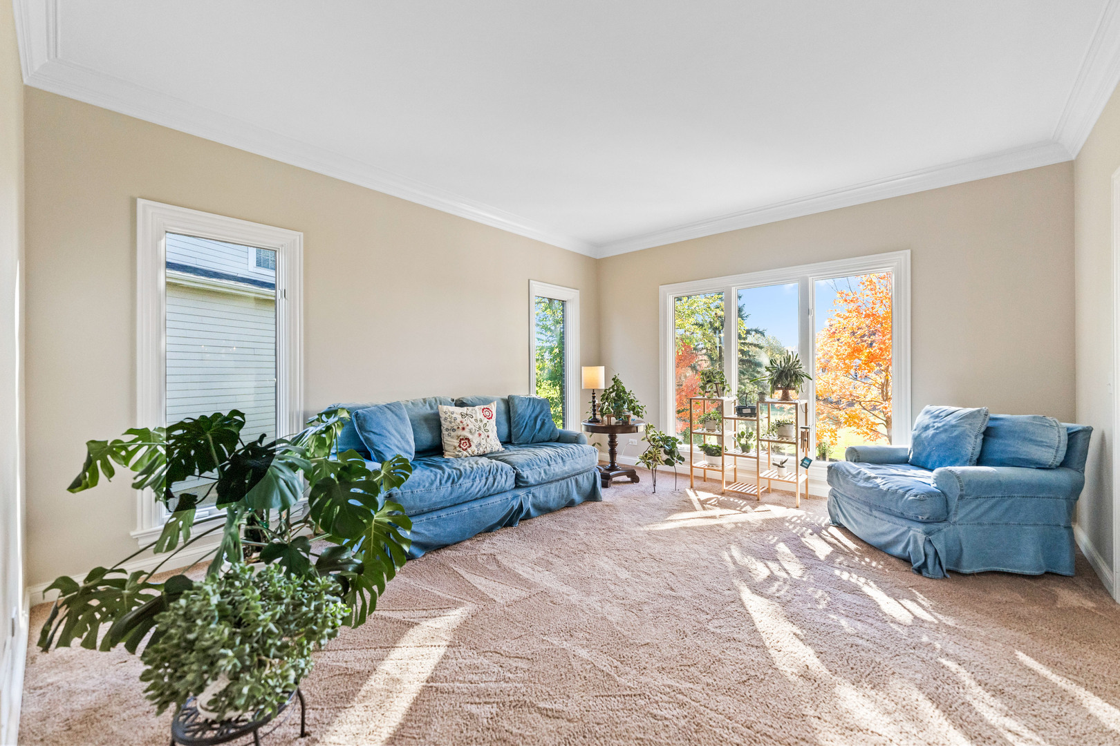 St. Charles, Illinois, 60175, United States, 5 Bedrooms Bedrooms, ,5 BathroomsBathrooms,Residential,For Sale,1989191