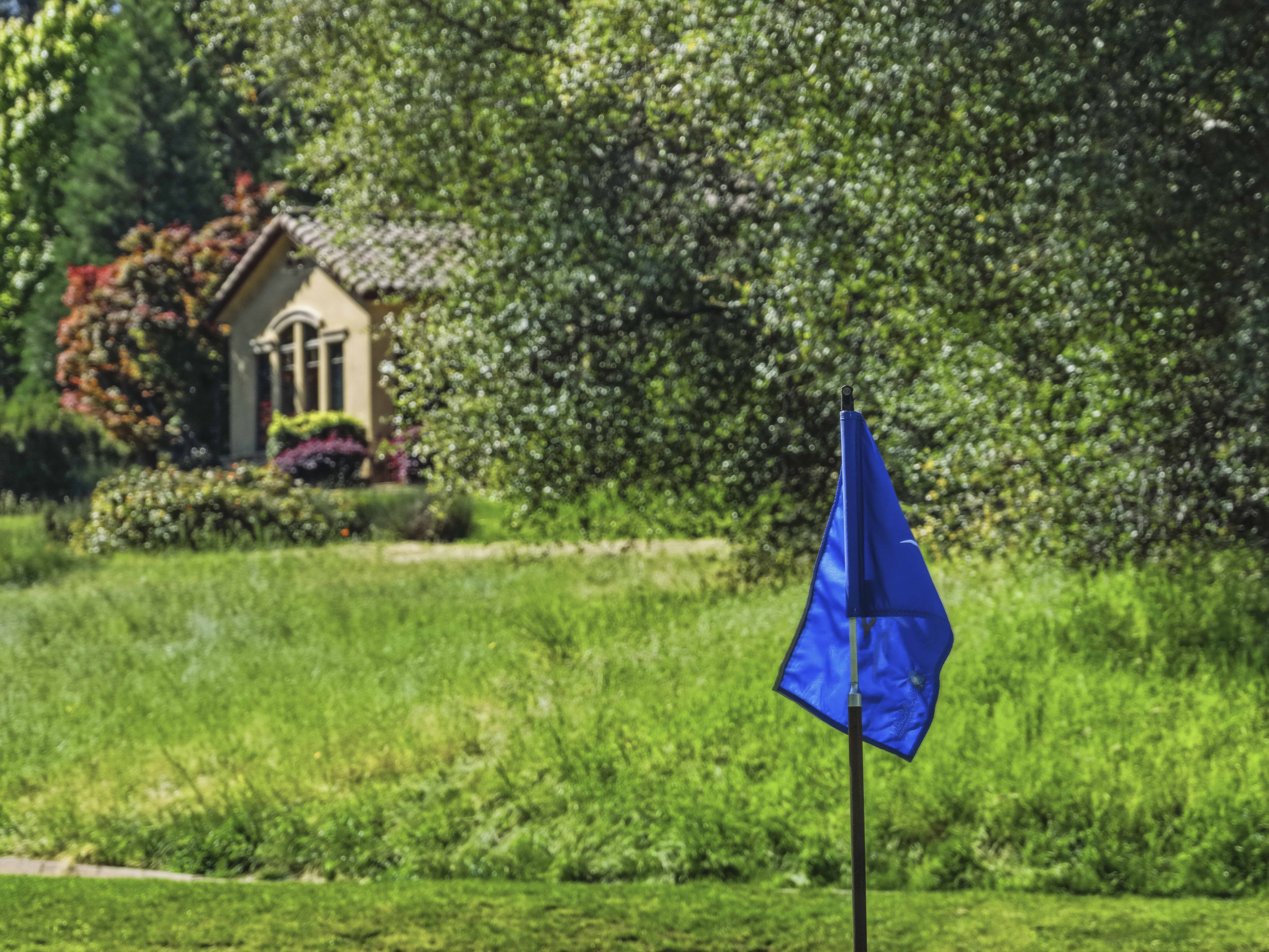  17107 Winchester Club Drive, Meadow Vista, CA 95722 - 物件實景