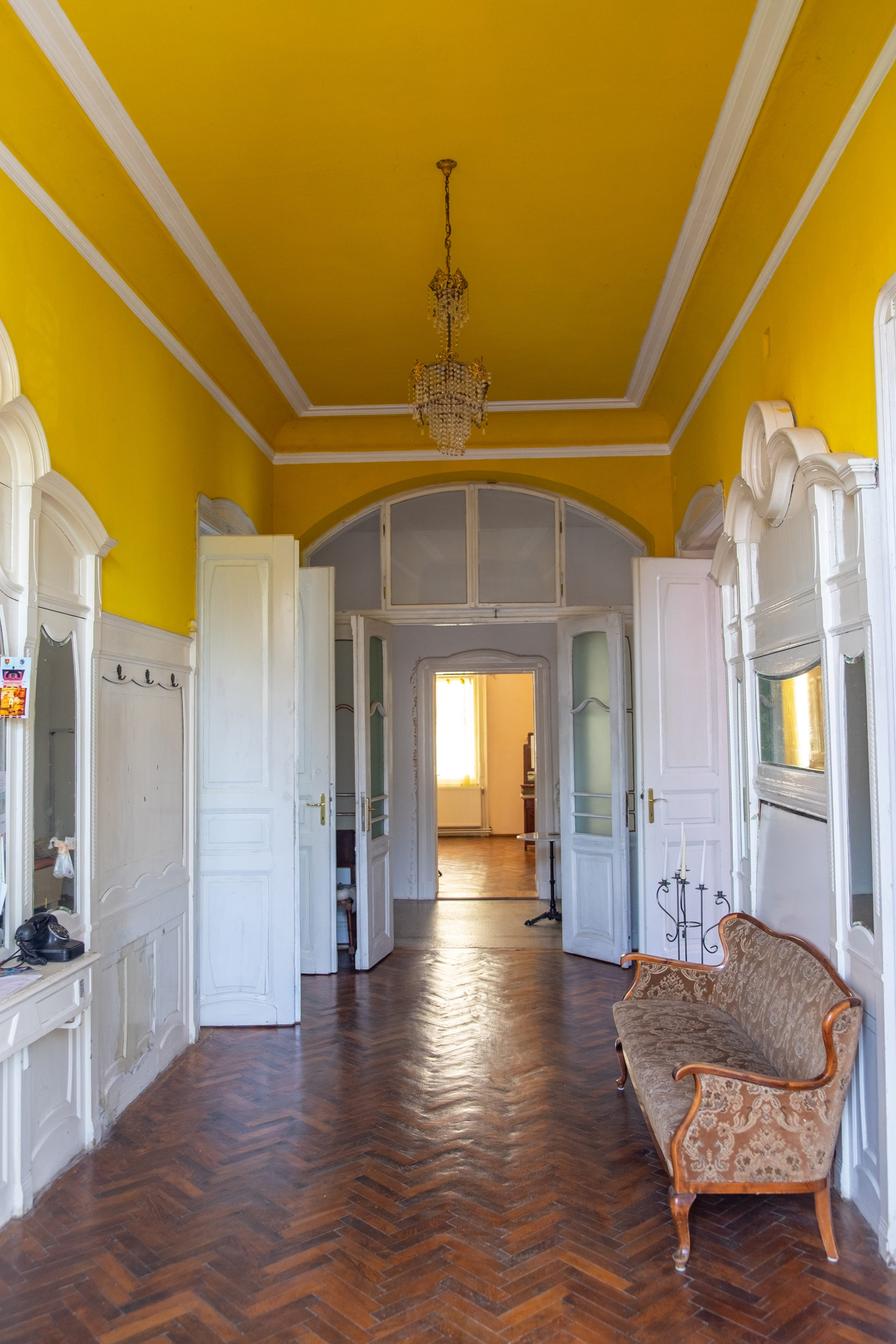  Ferch Manor - History and Tradition near Timioara - 物件實景