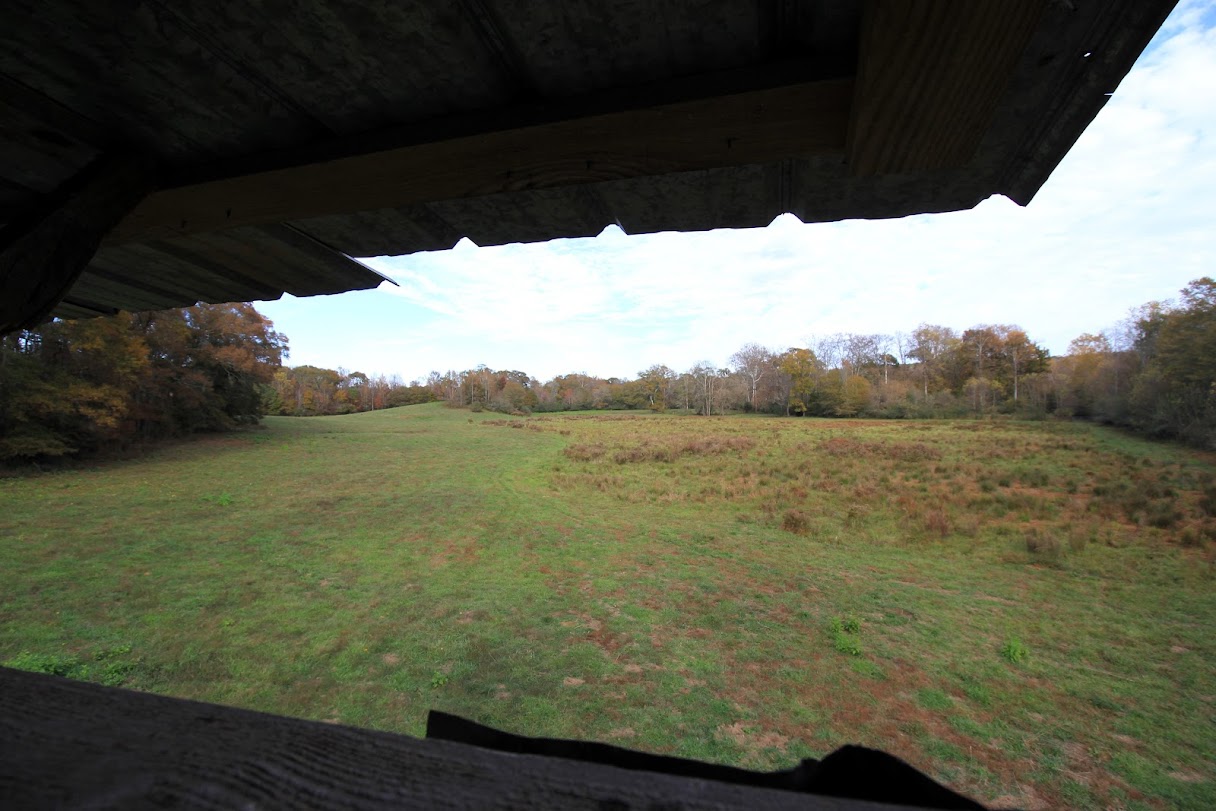 Bowdon, Georgia, 30108, United States, ,Land,For Sale,1989904