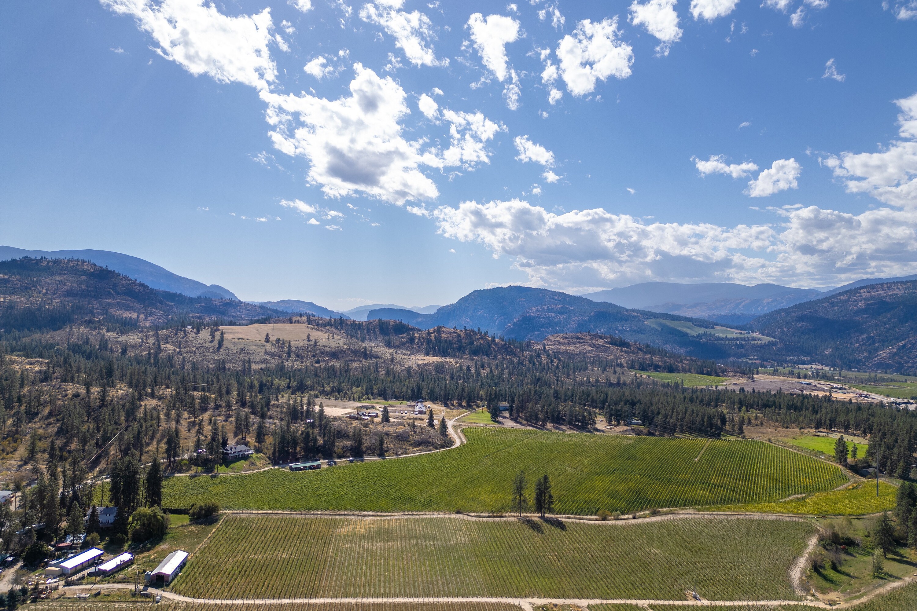  Vineyard in Okanagan Falls - 物件實景