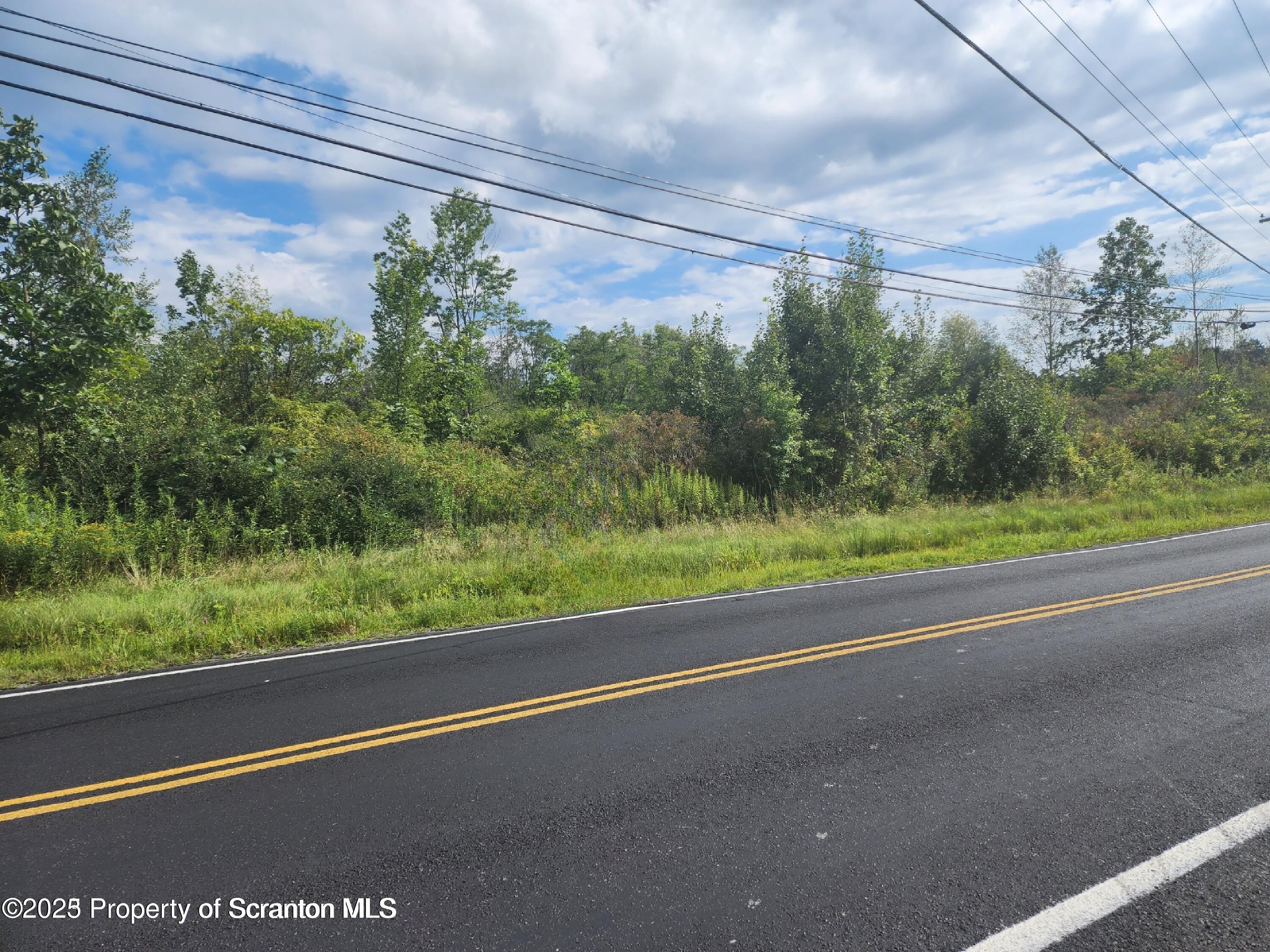 Newton Twp, Pennsylvania, 18411, United States, ,Land,For Sale,1980974