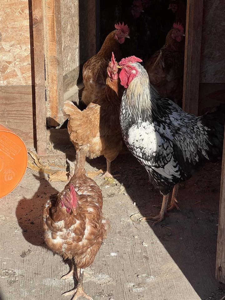 La Valle, Wisconsin, 53941, United States, 7 Bedrooms Bedrooms, ,Residential,For Sale,1995169