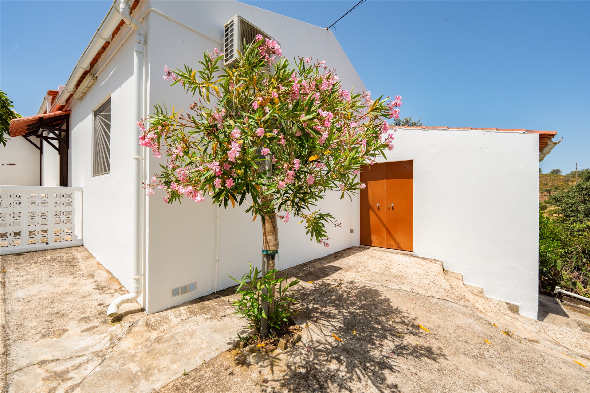  Farm, 4 bedrooms, for Sale - 物件實景