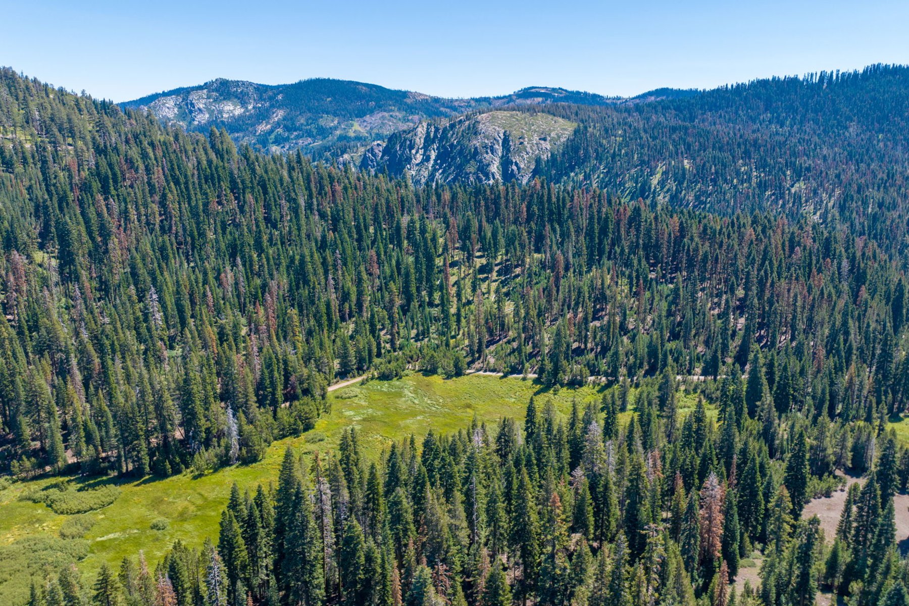  80 Acres of Pristine Land in the Middle of Plumas Eureka State Park - 物件實景
