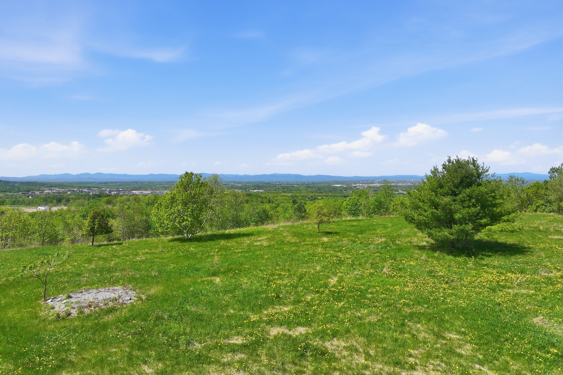  351 Ledgewood Drive - 物件實景