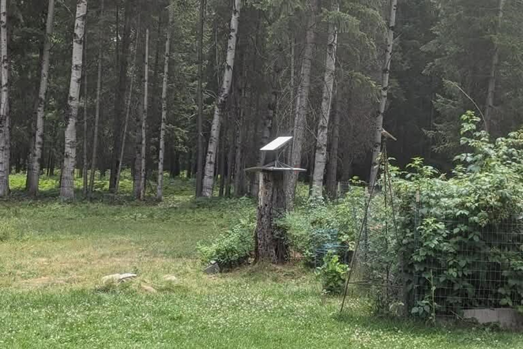  Charming Country Home on 10 Acres - 物件實景