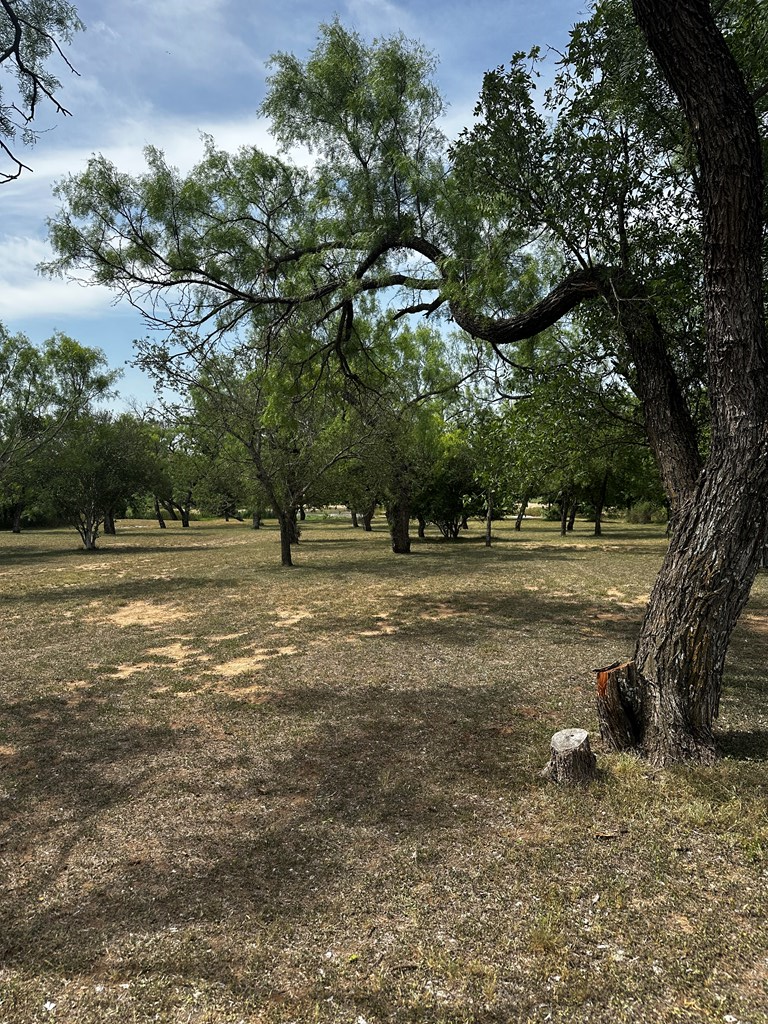 Llano, Texas, 78643, United States, 3 Bedrooms Bedrooms, ,2 BathroomsBathrooms,Residential,For Sale,1869749