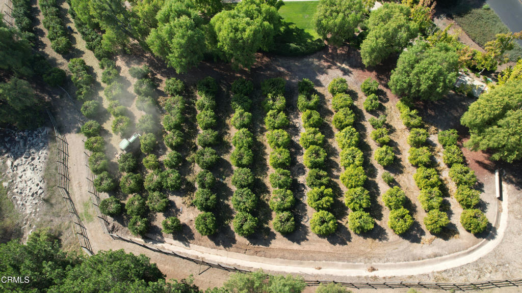 Camarillo, California, 93012, United States, 5 Bedrooms Bedrooms, ,7 BathroomsBathrooms,Residential,For Sale,1996163