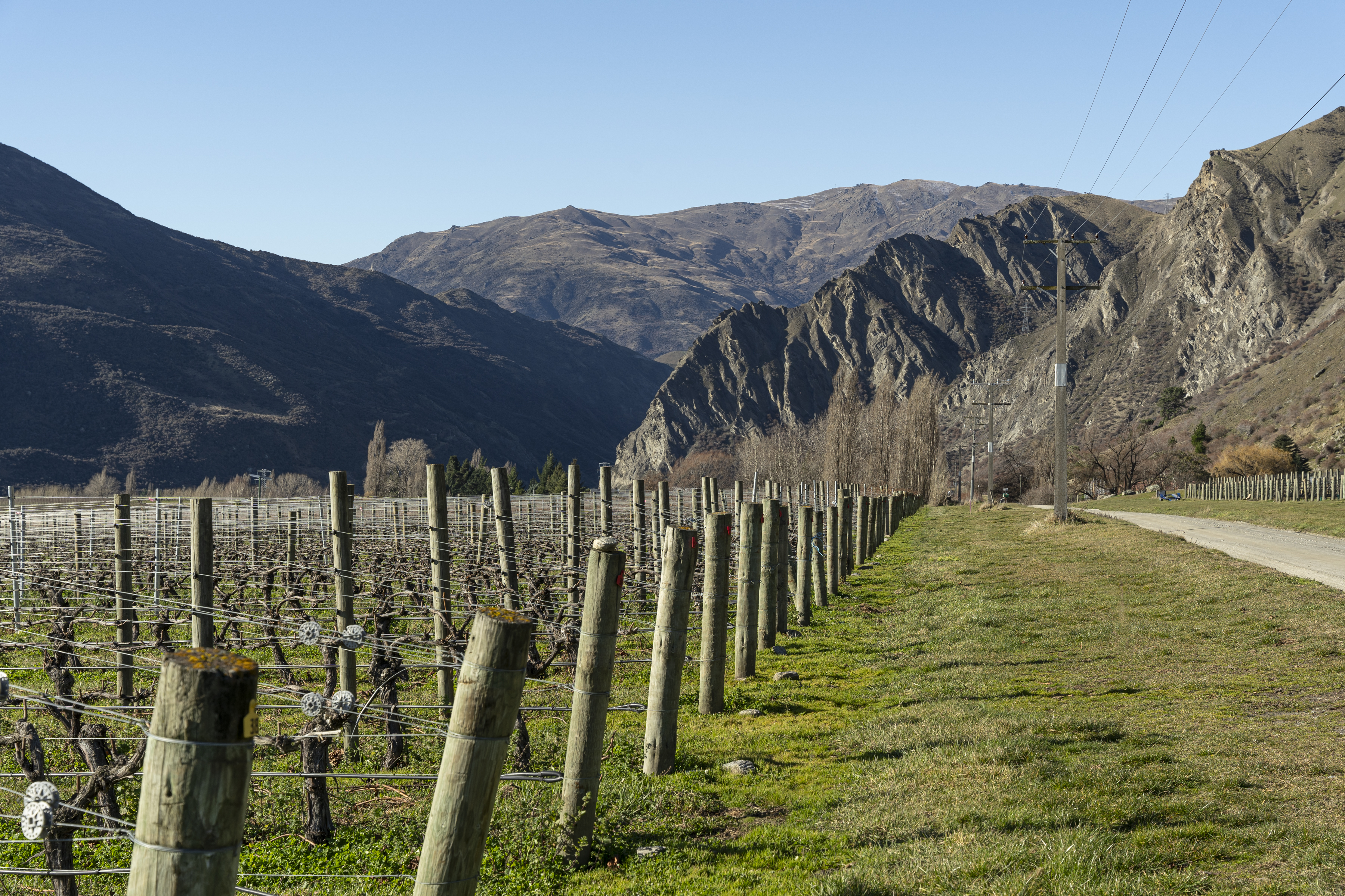  Award Winning Vineyard - 物件實景