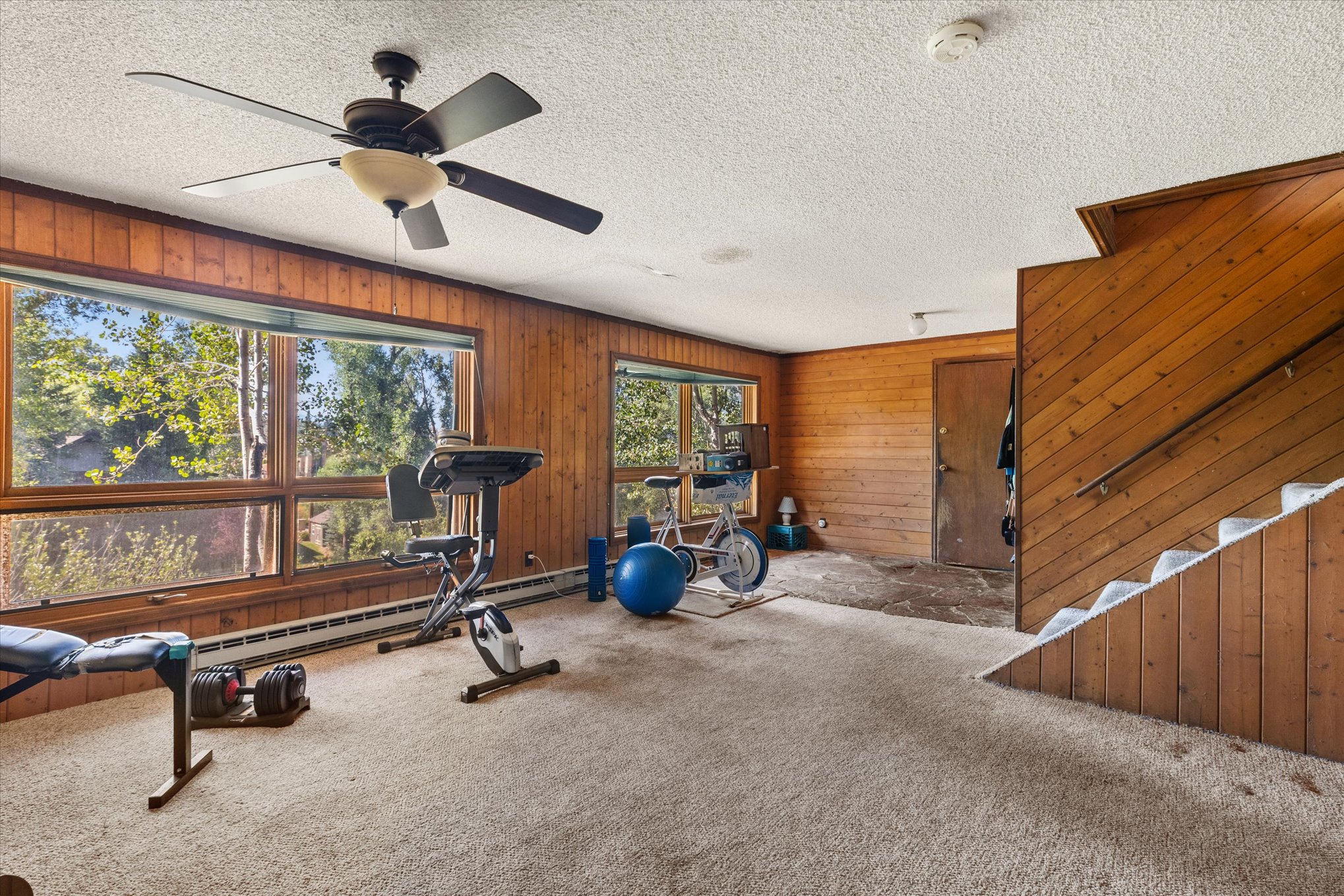  751 Princeton Avenue, Steamboat Springs, CO 80487 - 物件實景