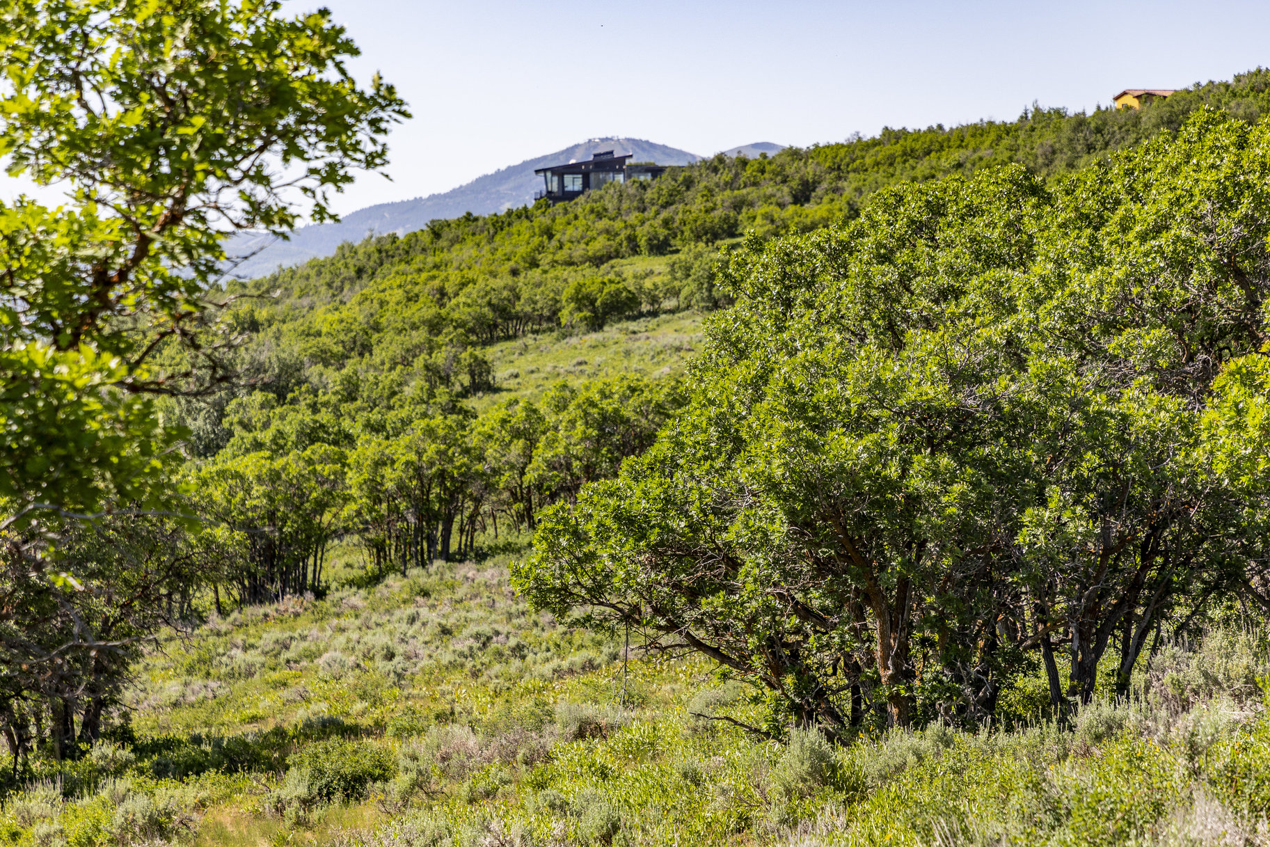  Privacy, Mountain Views, Downhill Build and Build up to Four Structures - 物件實景