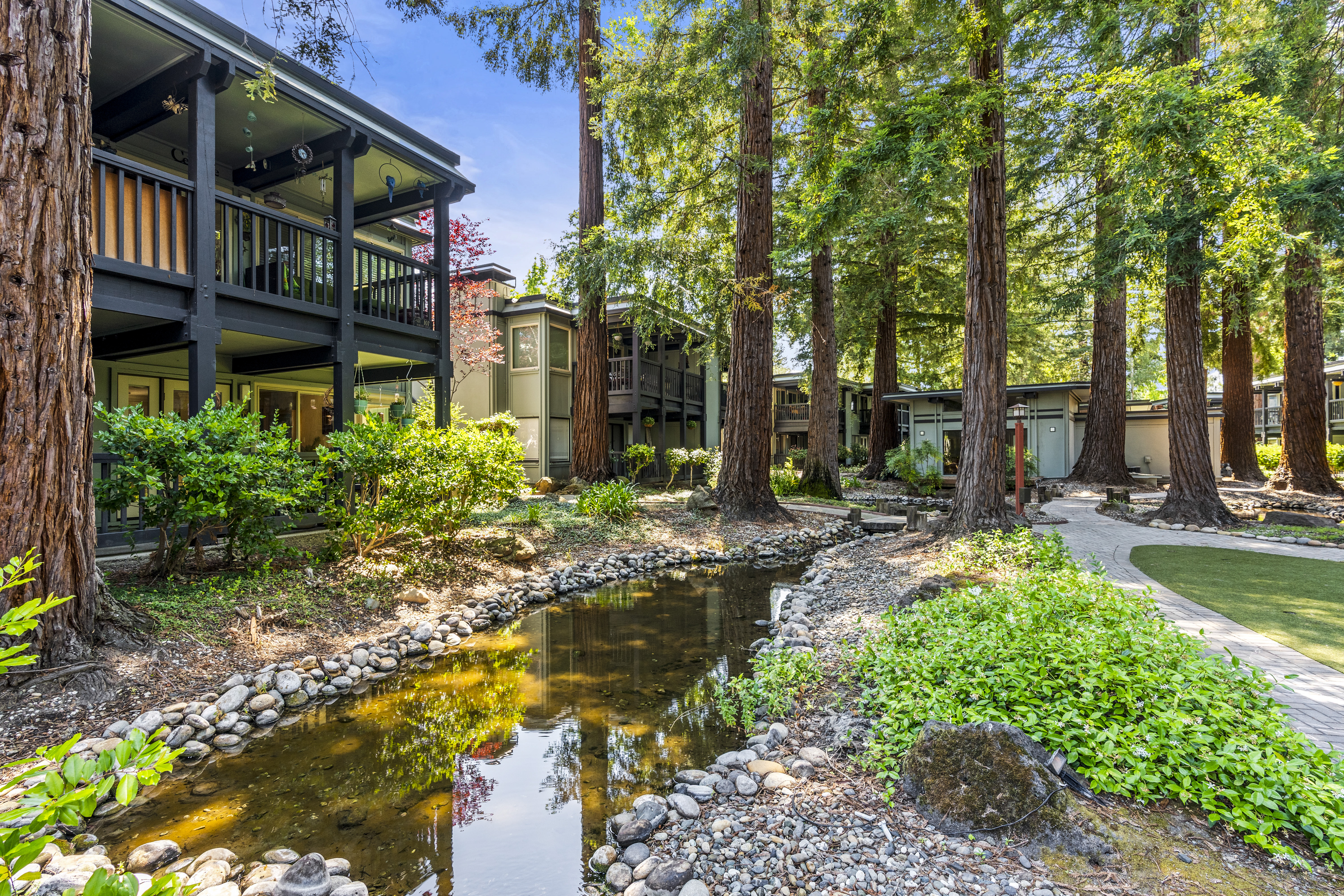  Tranquil Westside Danville Condominium Surrounded by Majestic Redwoods - 物件實景