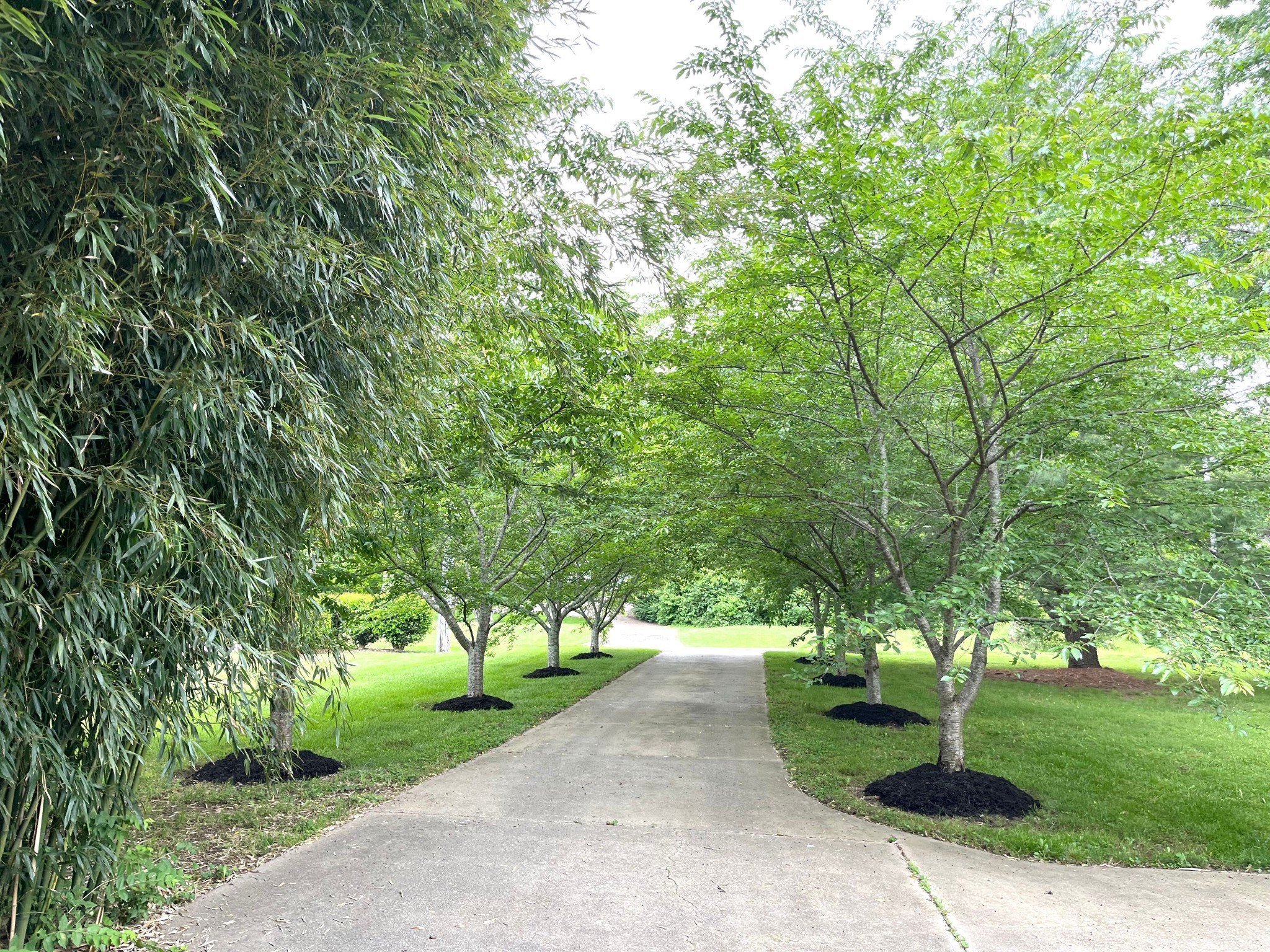 Franklin, Tennessee, 37064, United States, 4 Bedrooms Bedrooms, ,3 BathroomsBathrooms,Residential,For Sale,1855995
