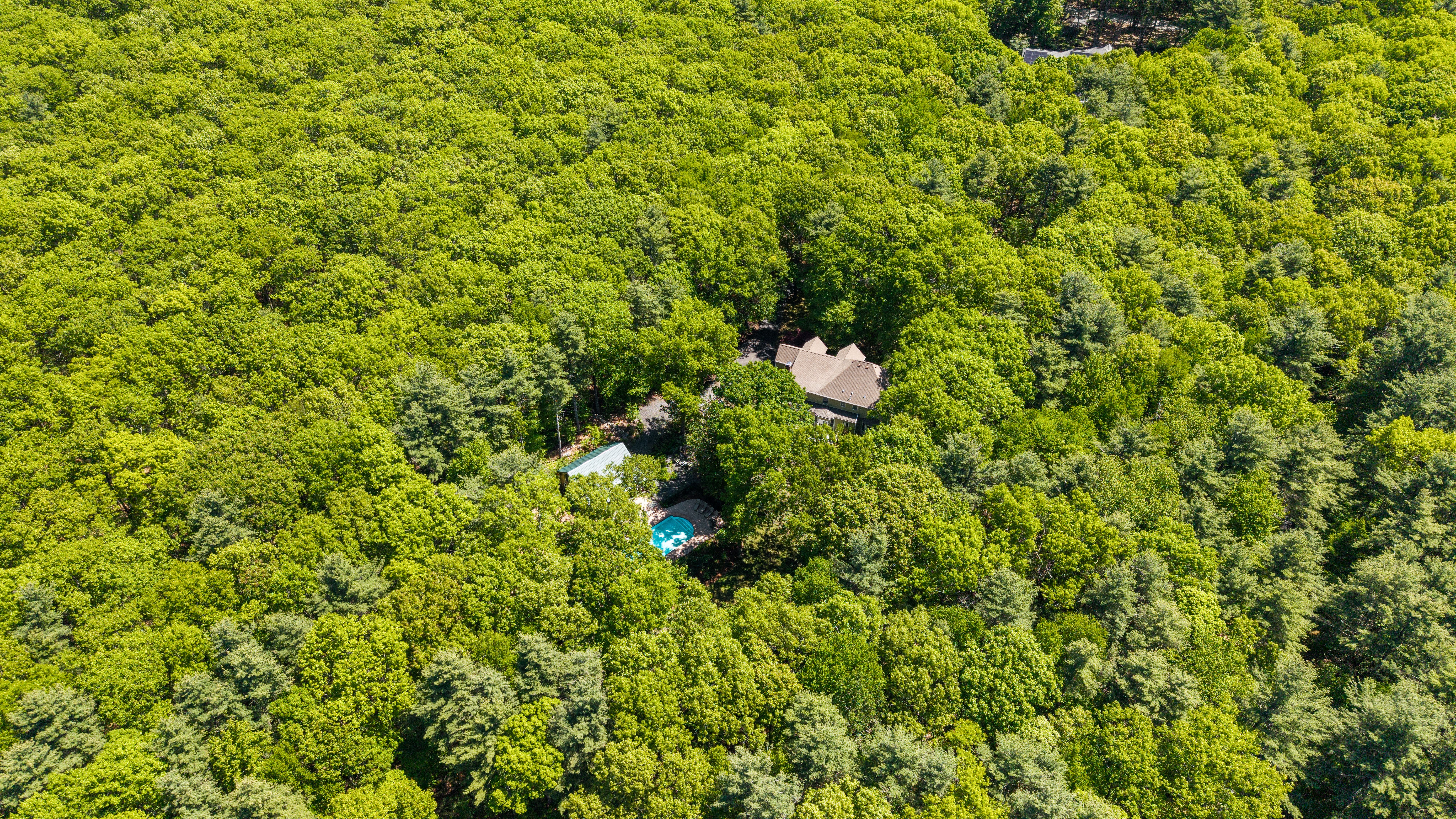  59 Smith Road, Northborough, MA 01532 - 物件實景