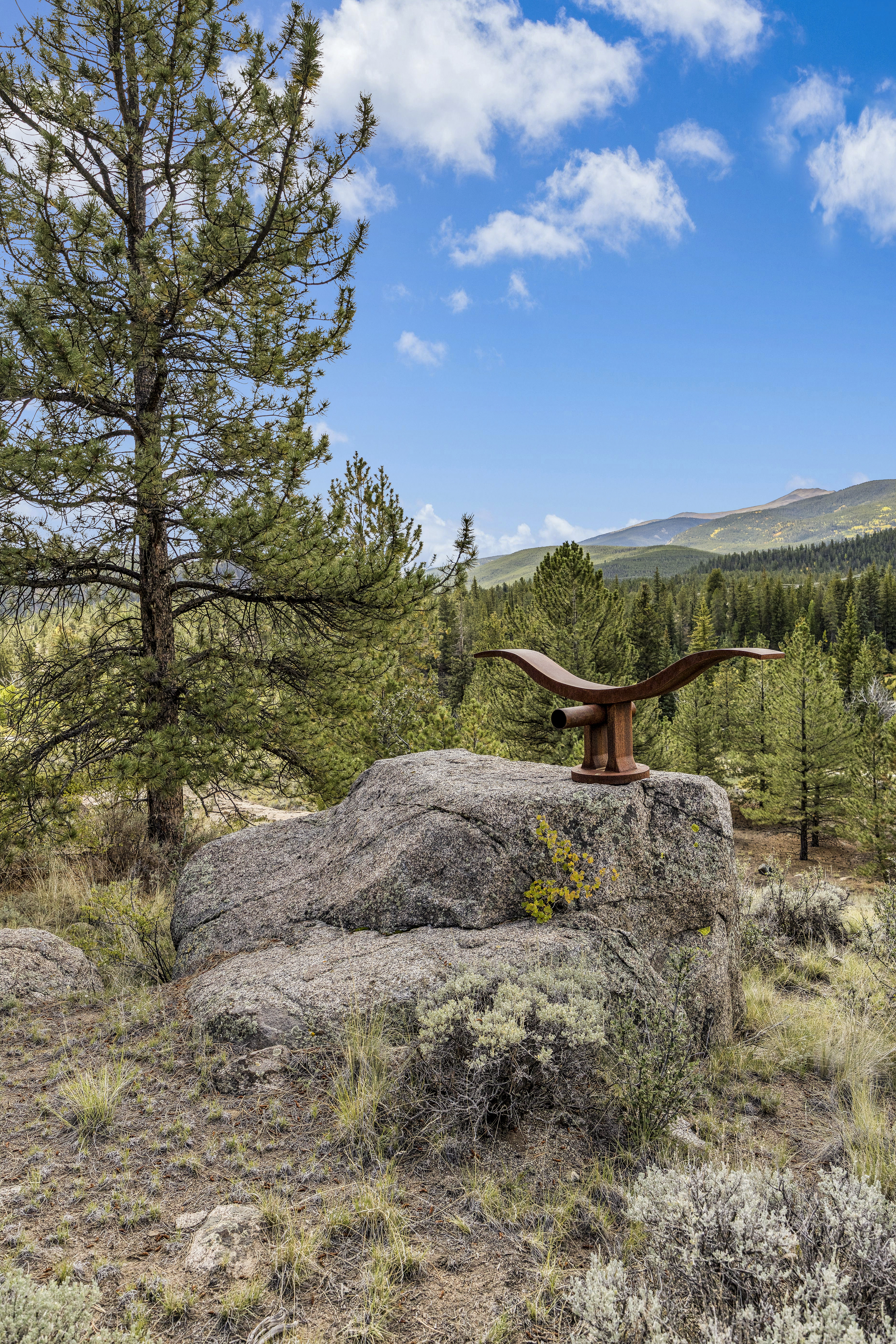 41750 N Us Hwy 24, Granite, CO, 81228 - 物件實景