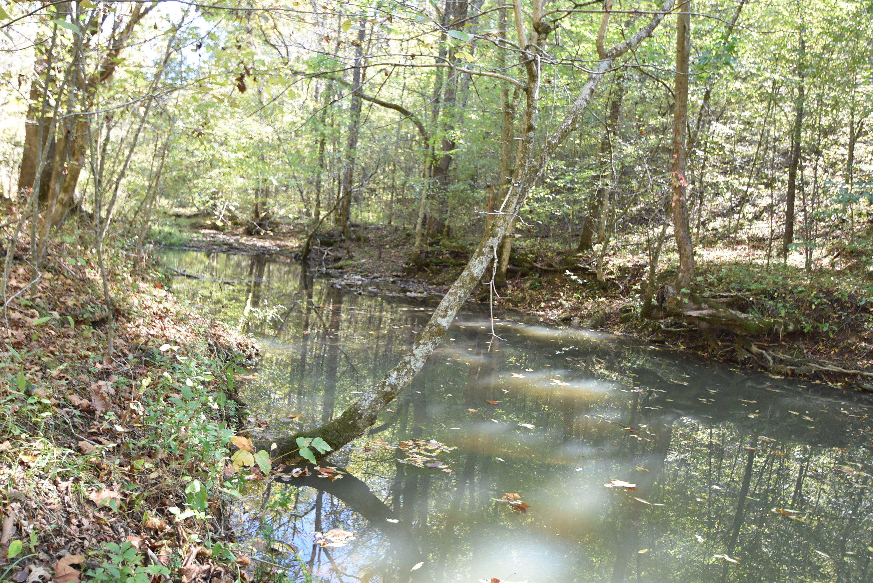 Willisburg, Kentucky, 40078, United States, 4 Bedrooms Bedrooms, ,1 BathroomBathrooms,Residential,For Sale,1962831