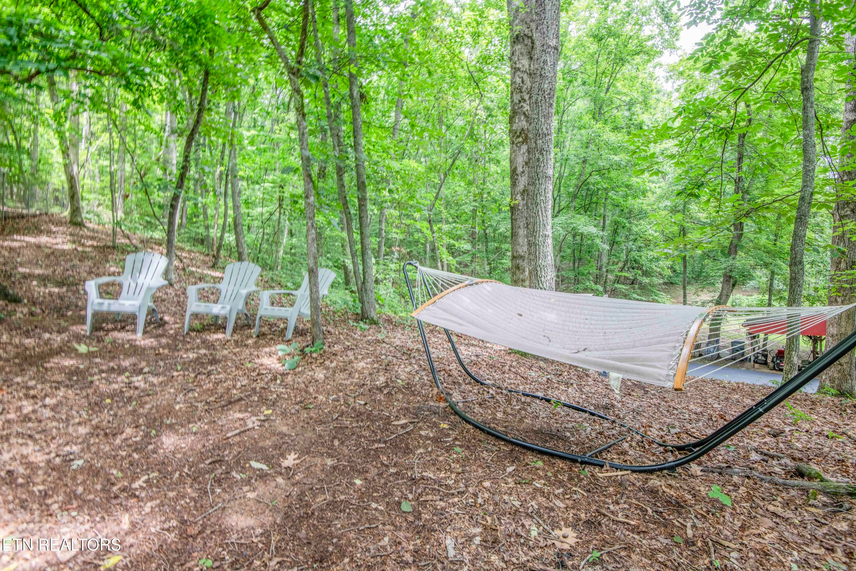 Kingston, Tennessee, 37763, United States, 3 Bedrooms Bedrooms, ,2 BathroomsBathrooms,Residential,For Sale,1882292
