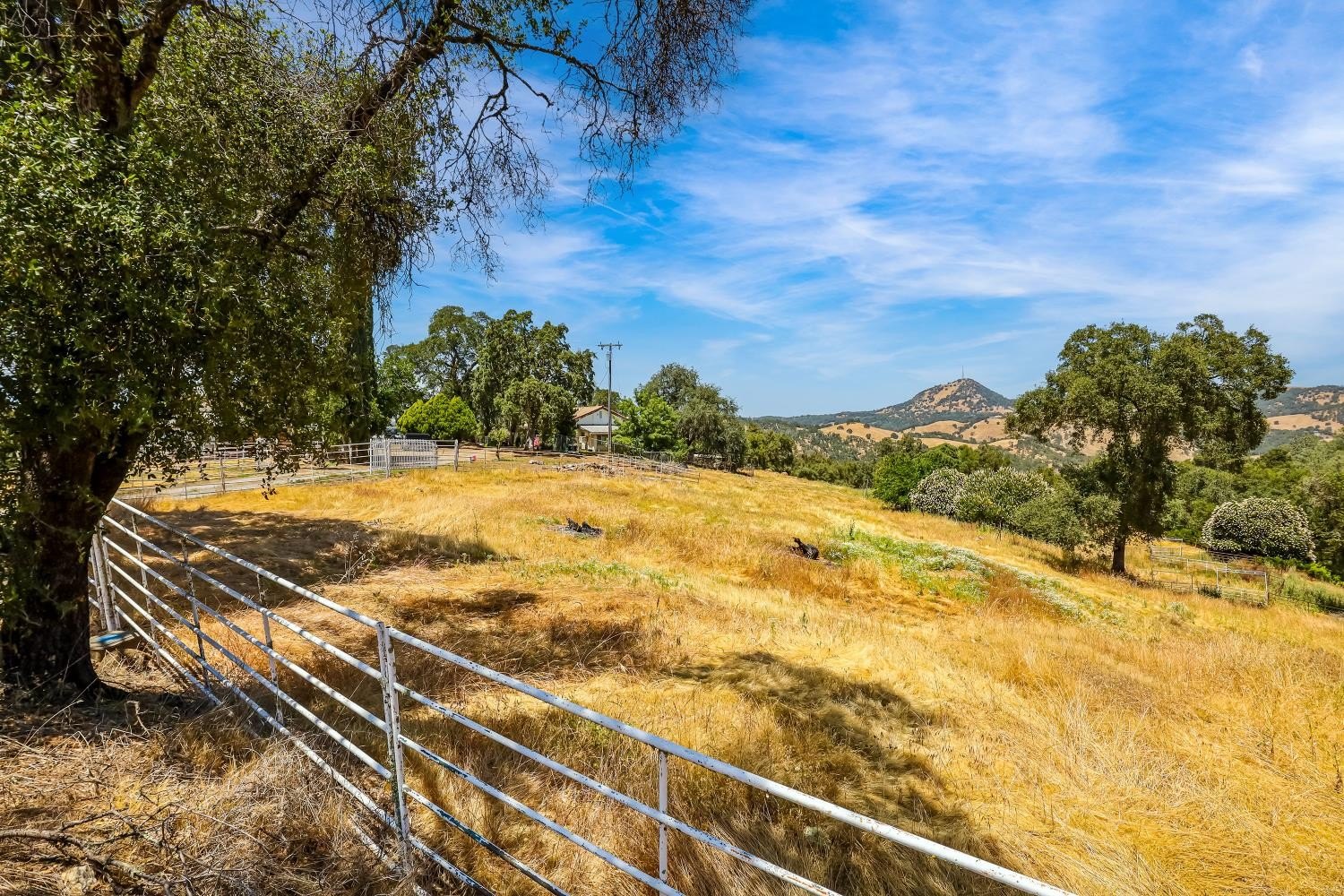 Mokelumne Hill, California, 95245, United States, 4 Bedrooms Bedrooms, ,3 BathroomsBathrooms,Residential,For Sale,1844920