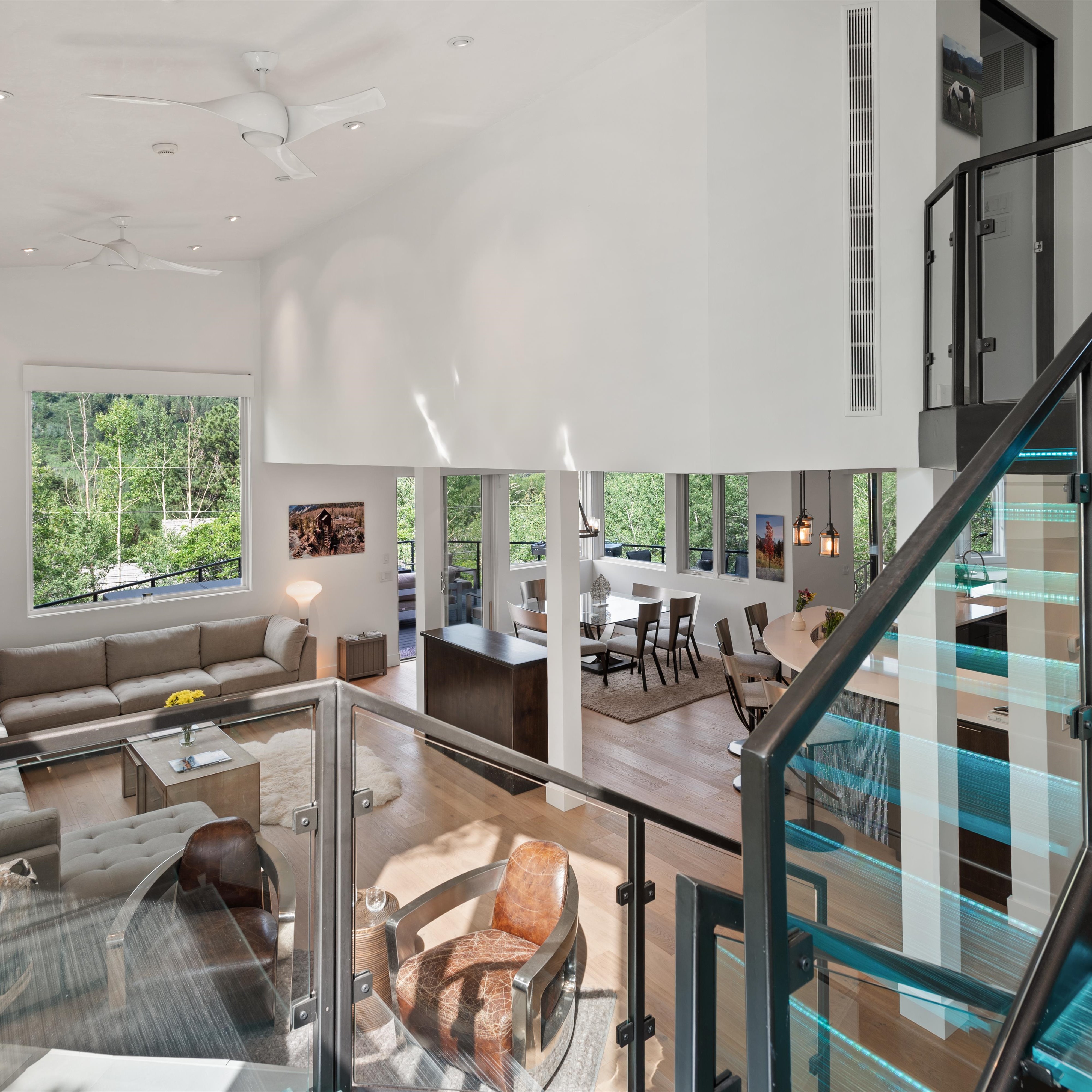  257 Mountain Laurel Drive, Aspen, CO, 81611 - 物件實景
