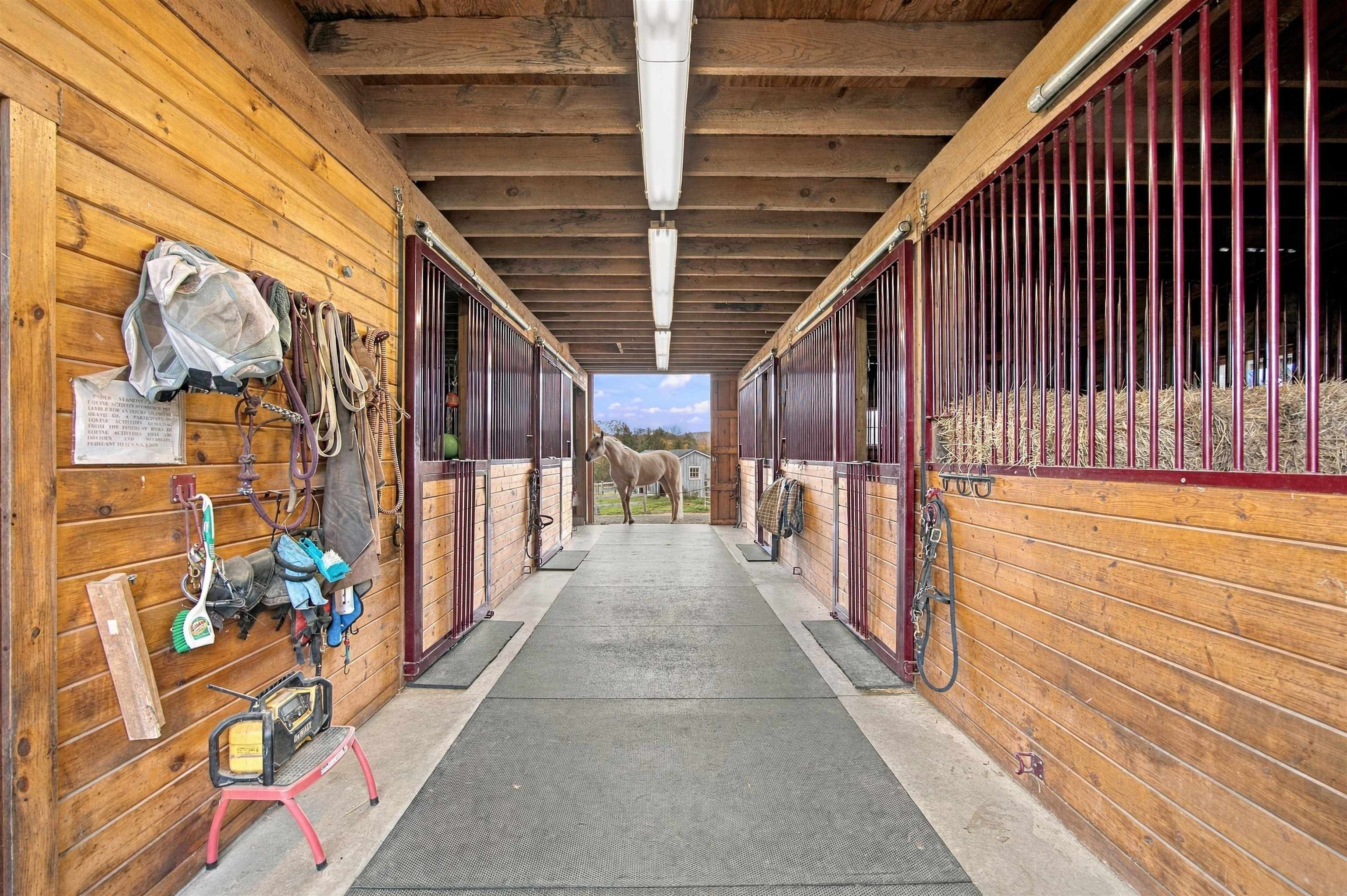  33 Highfield Drive - 物件實景