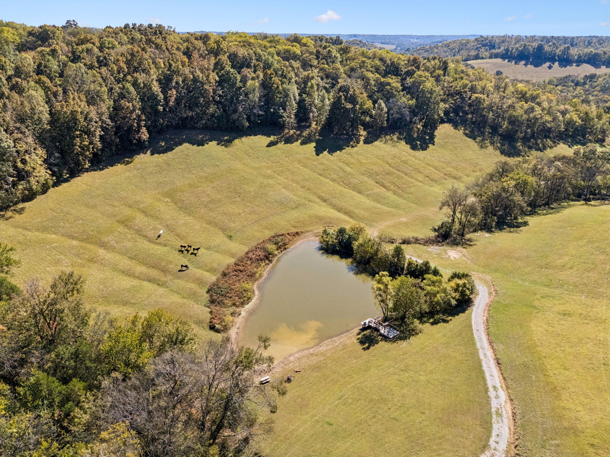  2846 Fuller Hollow Rd, Cornersville, TN, 37047 - 物件實景