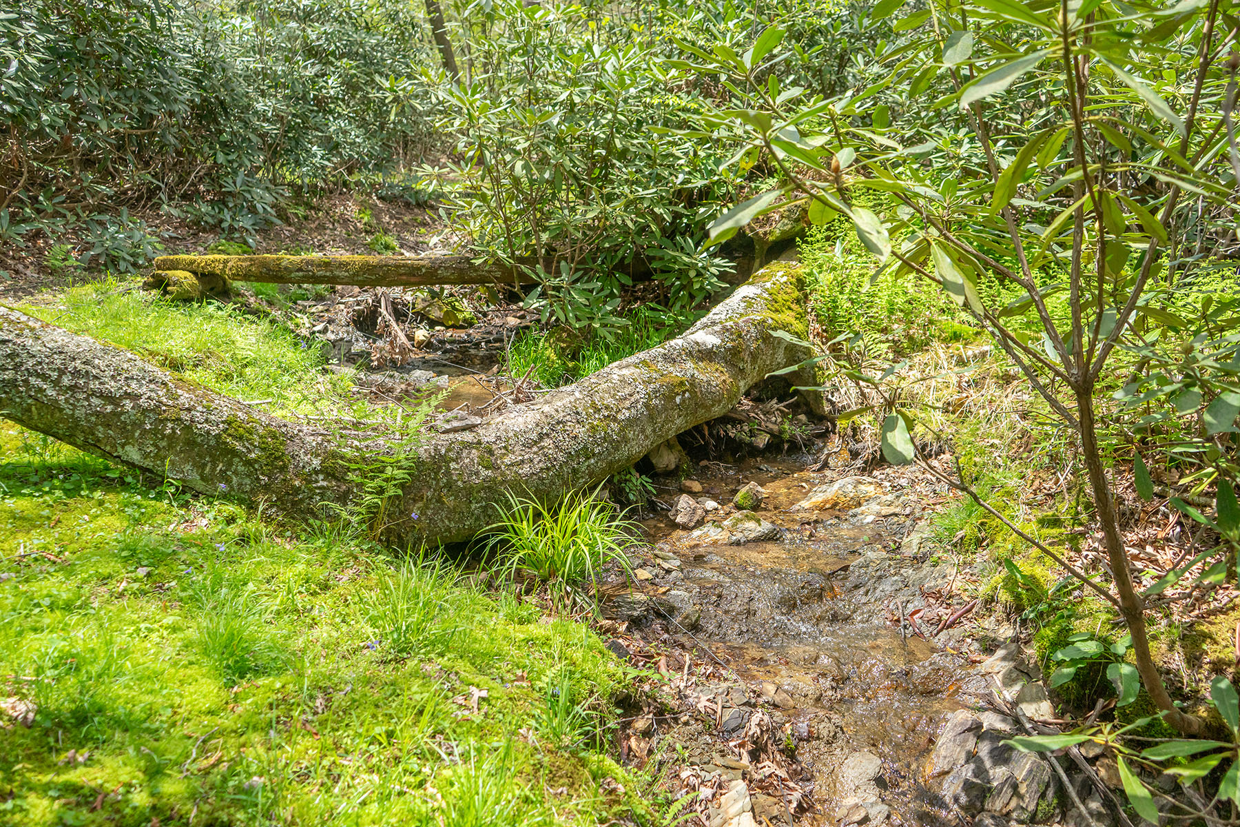  HUCKLEBERRY KNOB - BLOWING ROCK - 物件實景