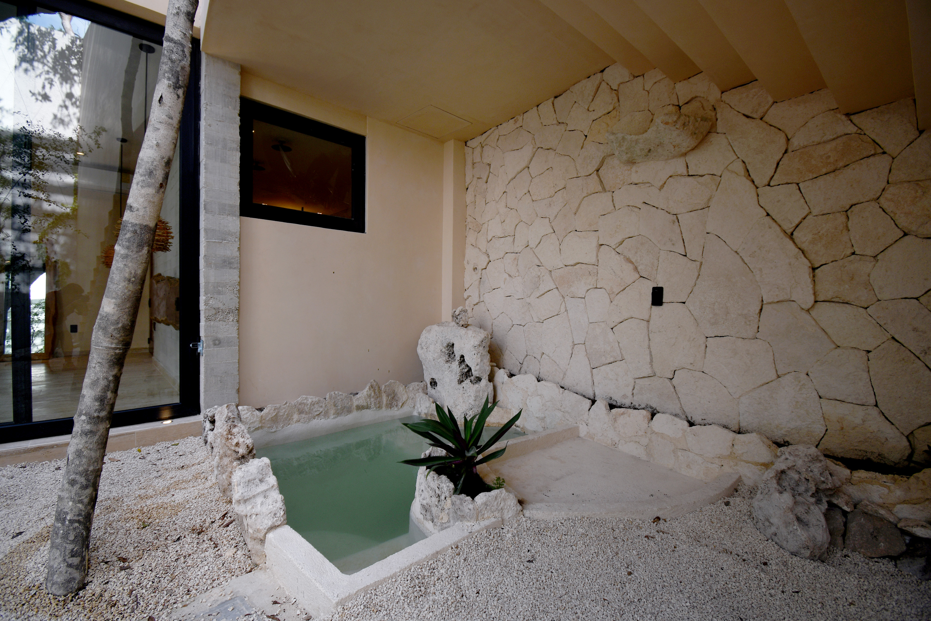  Jungle Essence Luxury Villa - 物件實景