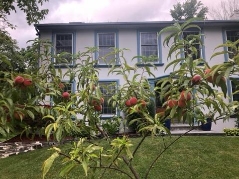 Lincoln Park, New Jersey, 07035, United States, 4 Bedrooms Bedrooms, ,3 BathroomsBathrooms,Residential,For Sale,1942822
