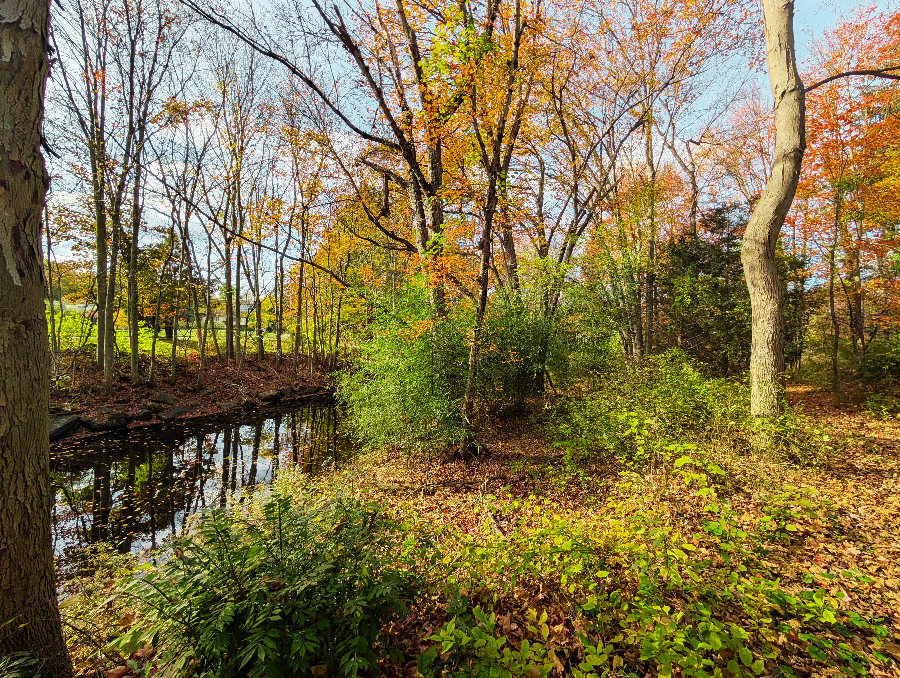 Shelton, Connecticut, 06484, United States, 3 Bedrooms Bedrooms, ,2 BathroomsBathrooms,Residential,For Sale,1996046