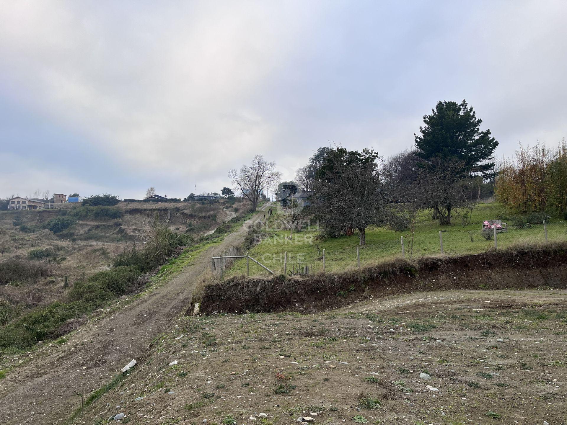 Futrono, Chile, ,Residential,For Sale,1919712