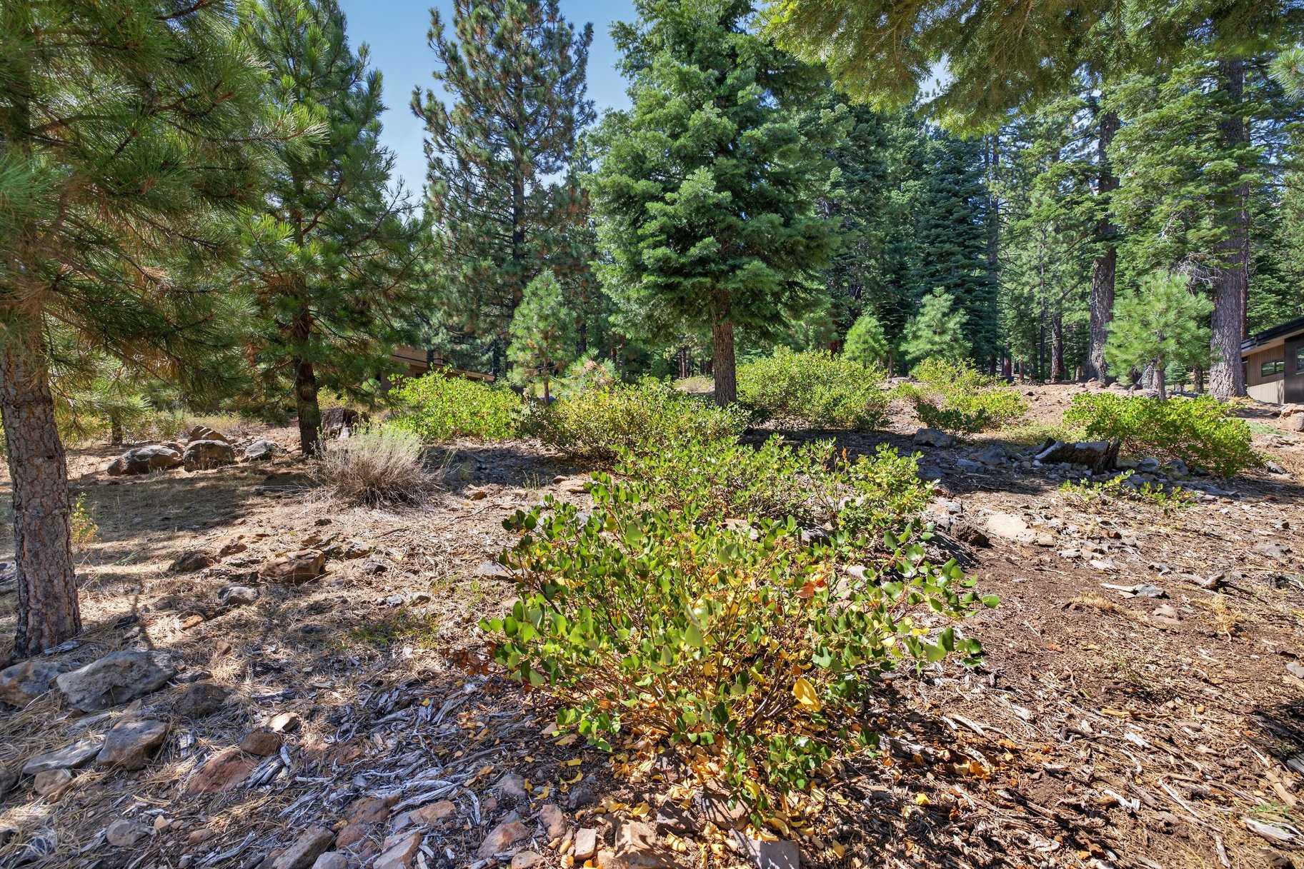  Half Acre, Privacy, and a Central Truckee Address - 物件實景