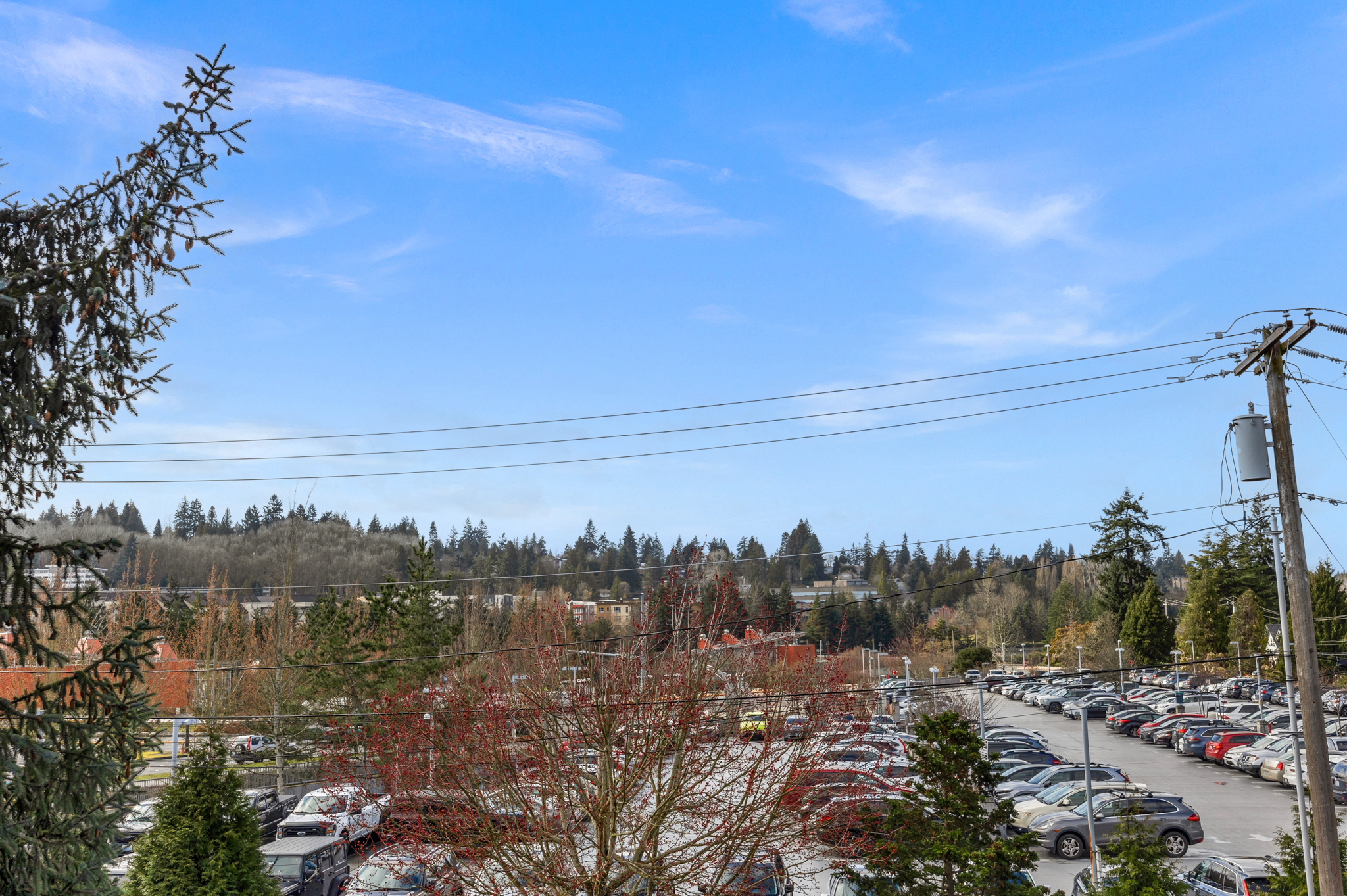  2500 81st Ave SE Unit #118, Mercer Island, WA 98040 - 物件實景