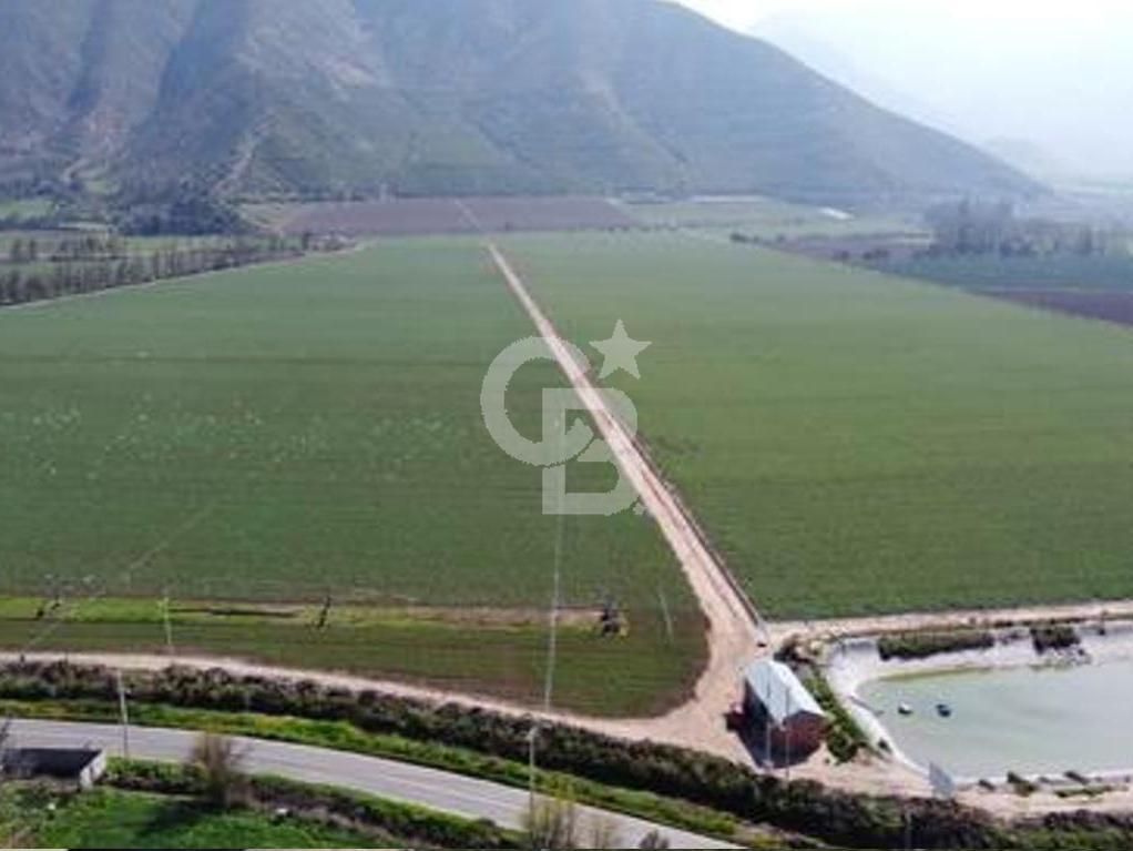 Catemu, Chile, ,Residential,For Sale,1971314