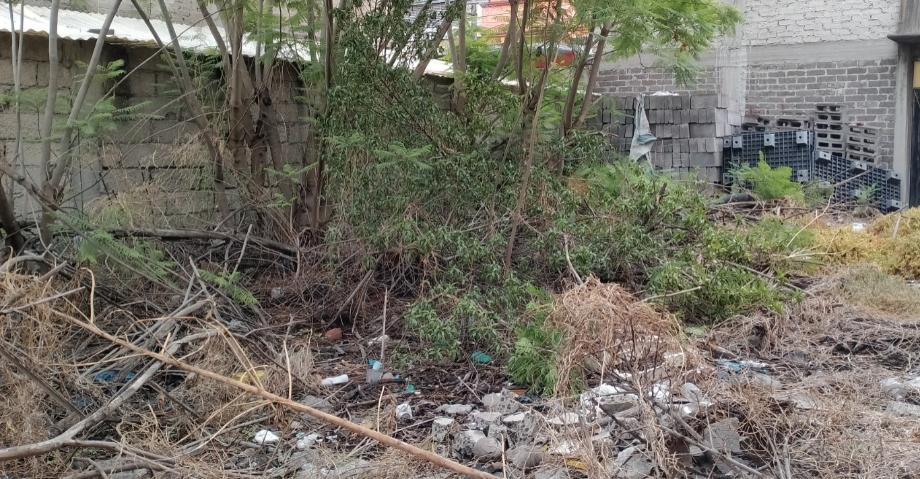 Gustavo A. Madero, Ciudad de México, 07530, Mexico, 1 Bedroom Bedrooms, ,Residential,For Sale,1994709