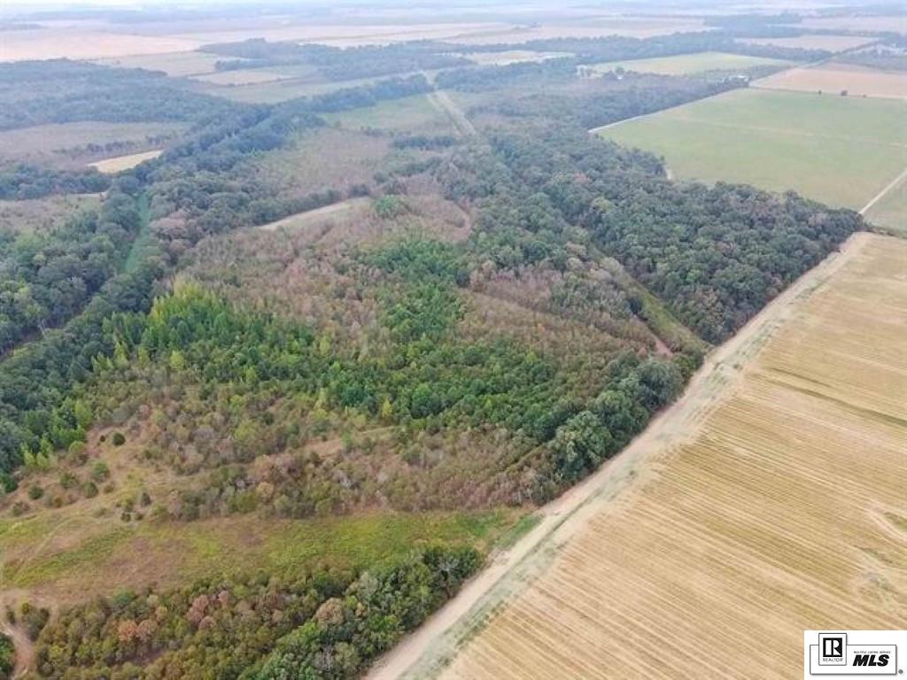 491 FORTENBERRY ROAD, Rayville, Louisiana, 71269, United States, ,Land,For Sale,491 FORTENBERRY ROAD,1683362