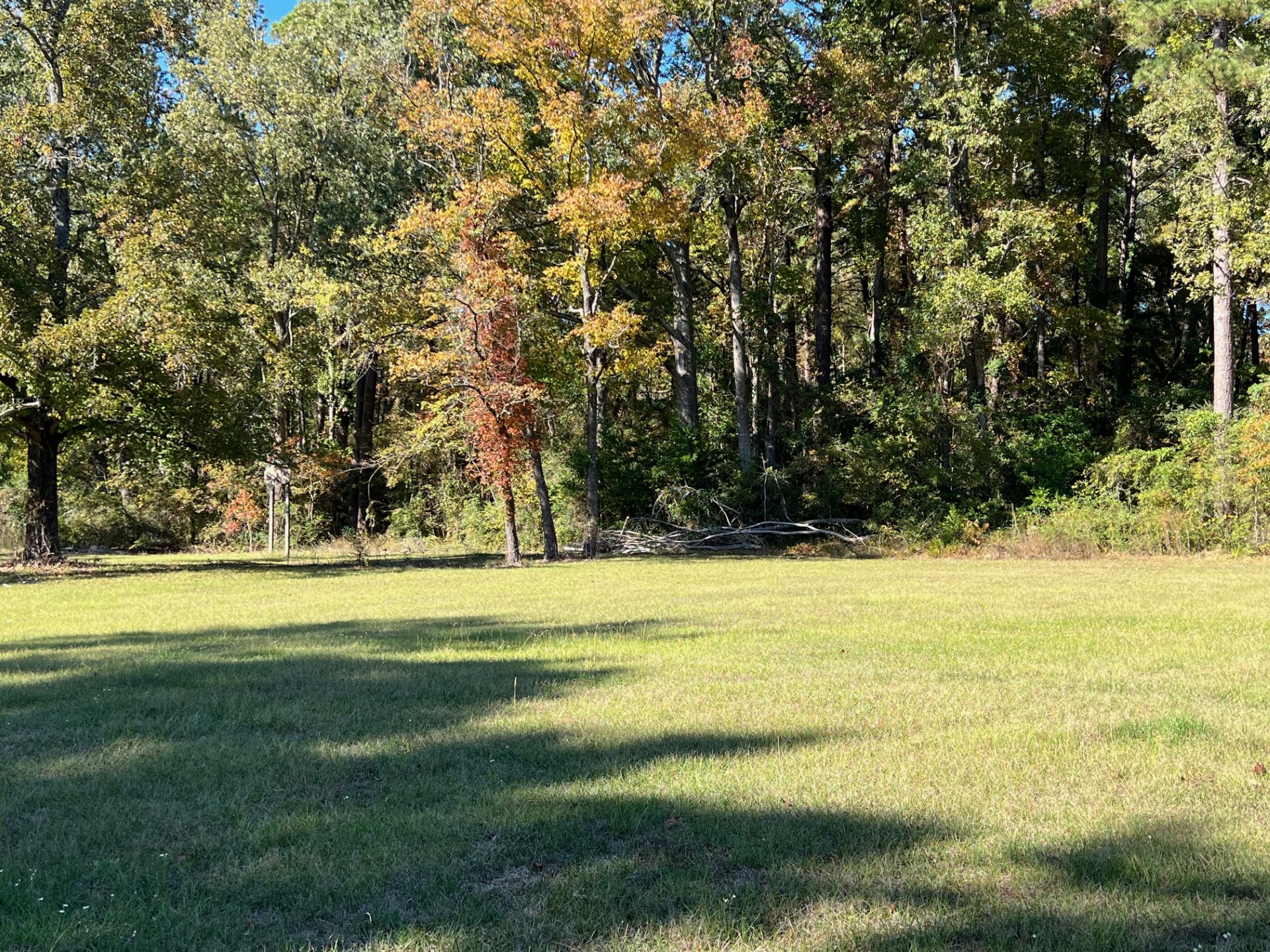 Converse, Louisiana, 71419, United States, ,Residential,For Sale,1995387