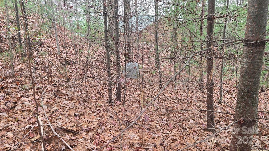 Saluda, North Carolina, 28773, United States, 3 Bedrooms Bedrooms, ,3 BathroomsBathrooms,Residential,For Sale,1978882