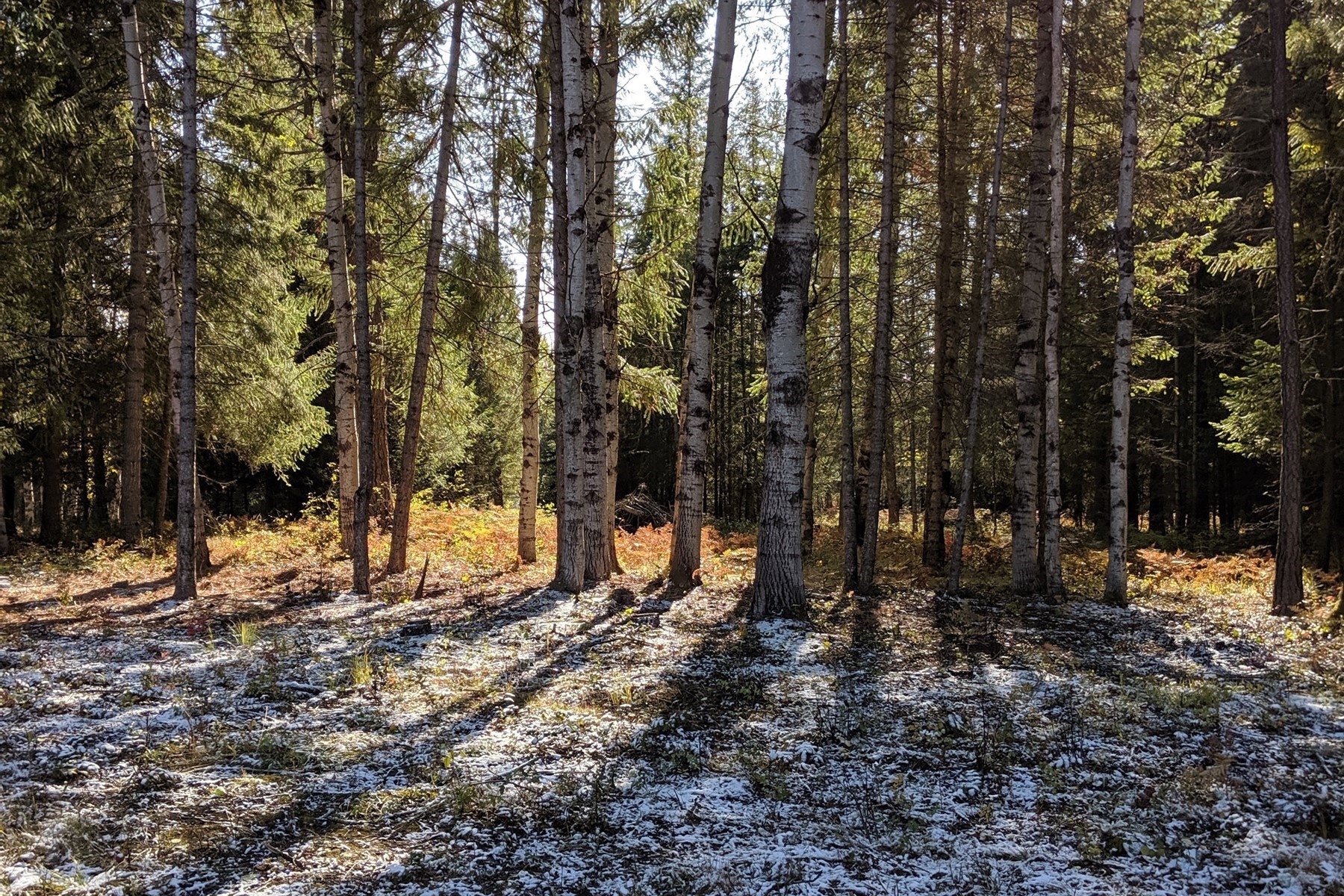  Charming Country Home on 10 Acres - 物件實景