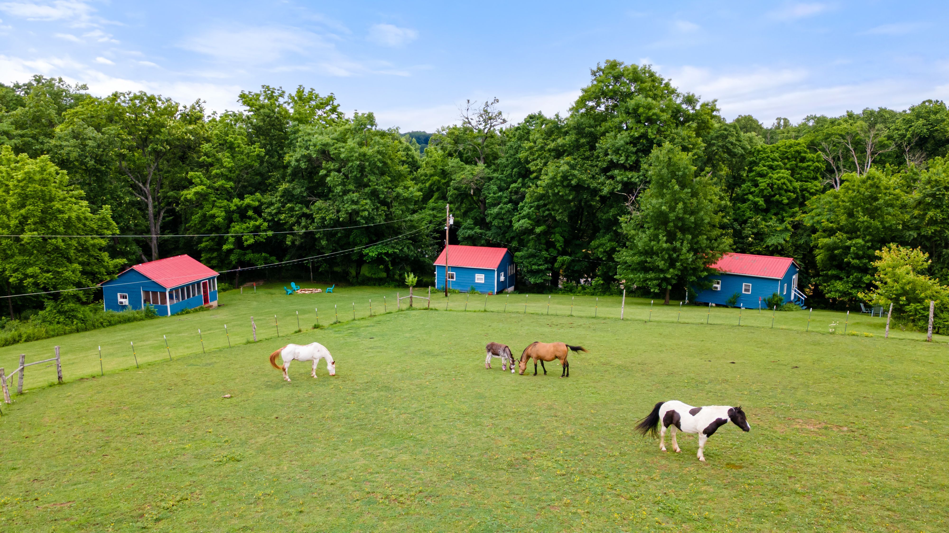  Built In 1851, 4-Story Limestone Federal-Style Home On Over 17 Acres - 物件實景