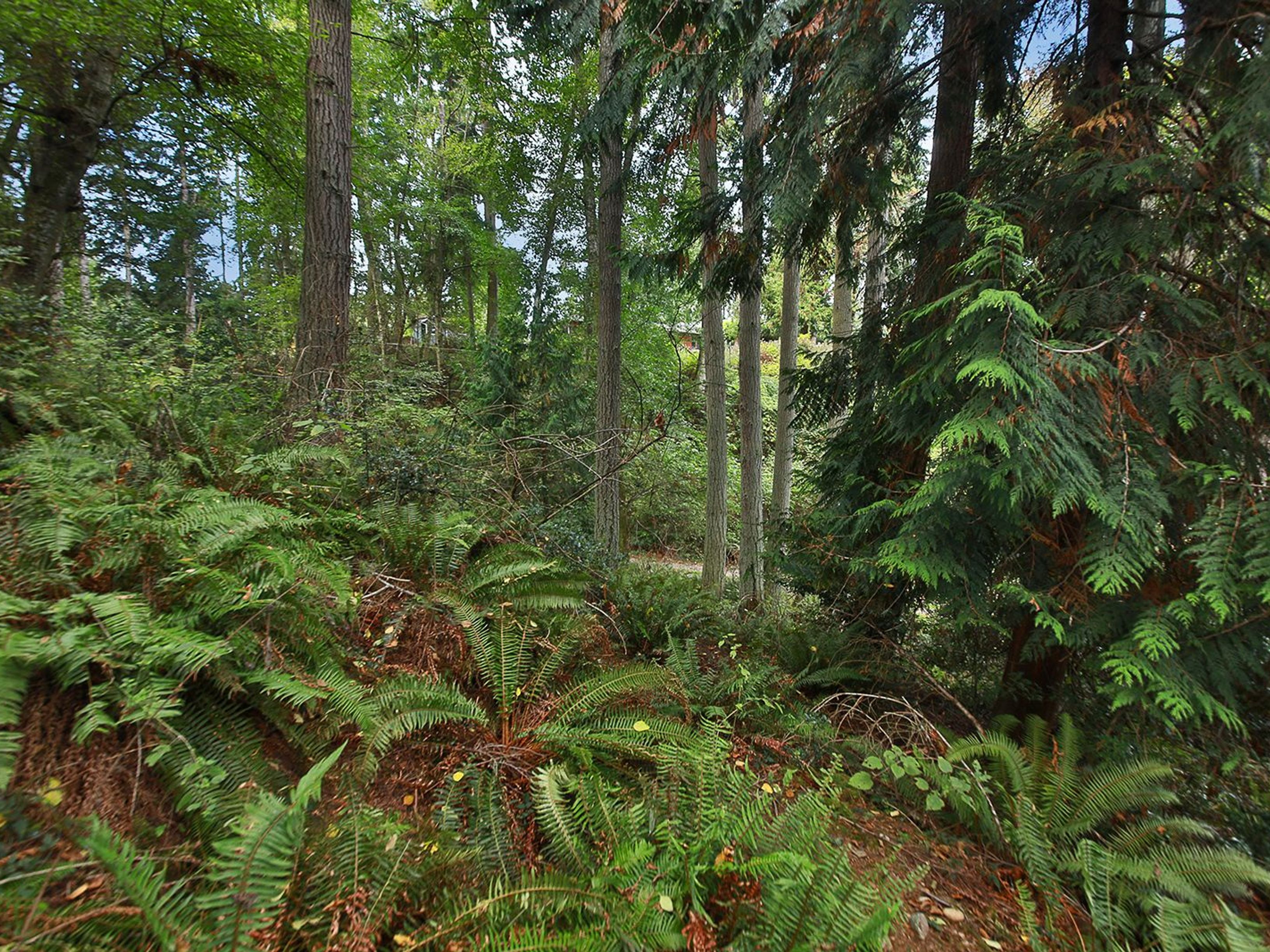  XXX Waterside Lane, Langley, WA 98260 - 物件實景
