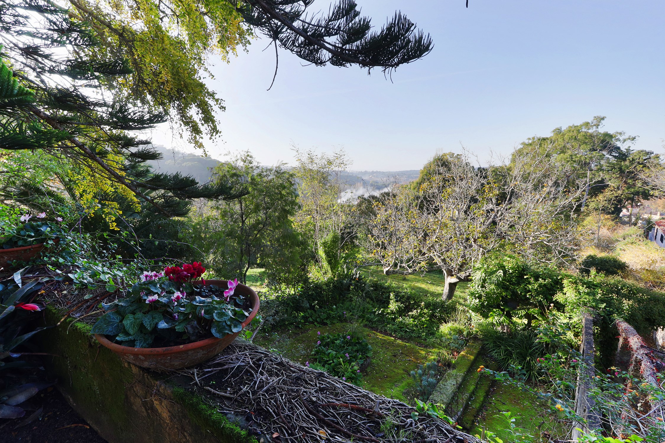Sintra, Lisbon, 2710, PT, 10 Bedrooms Bedrooms, ,10 BathroomsBathrooms,Residential,For Sale,1700861