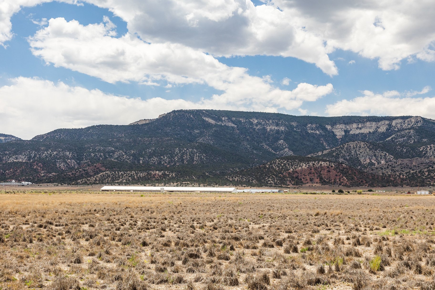  8.5-Acre Lots, No HOA, Stunning Horseshoe Mountain Views - 物件實景