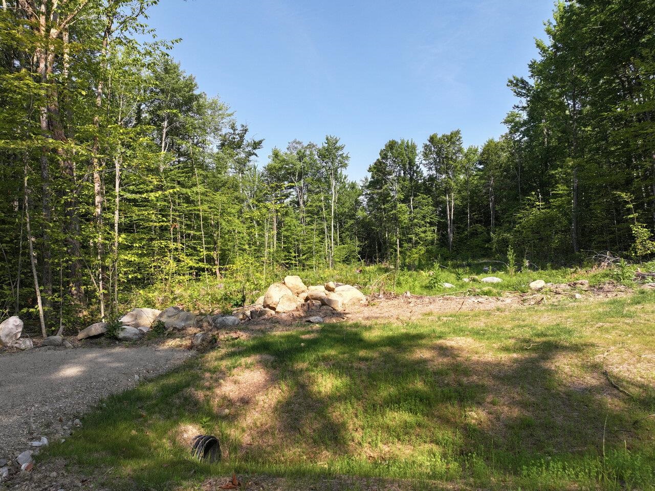 Leicester, Vermont, 05733, United States, ,Land,For Sale,1916983