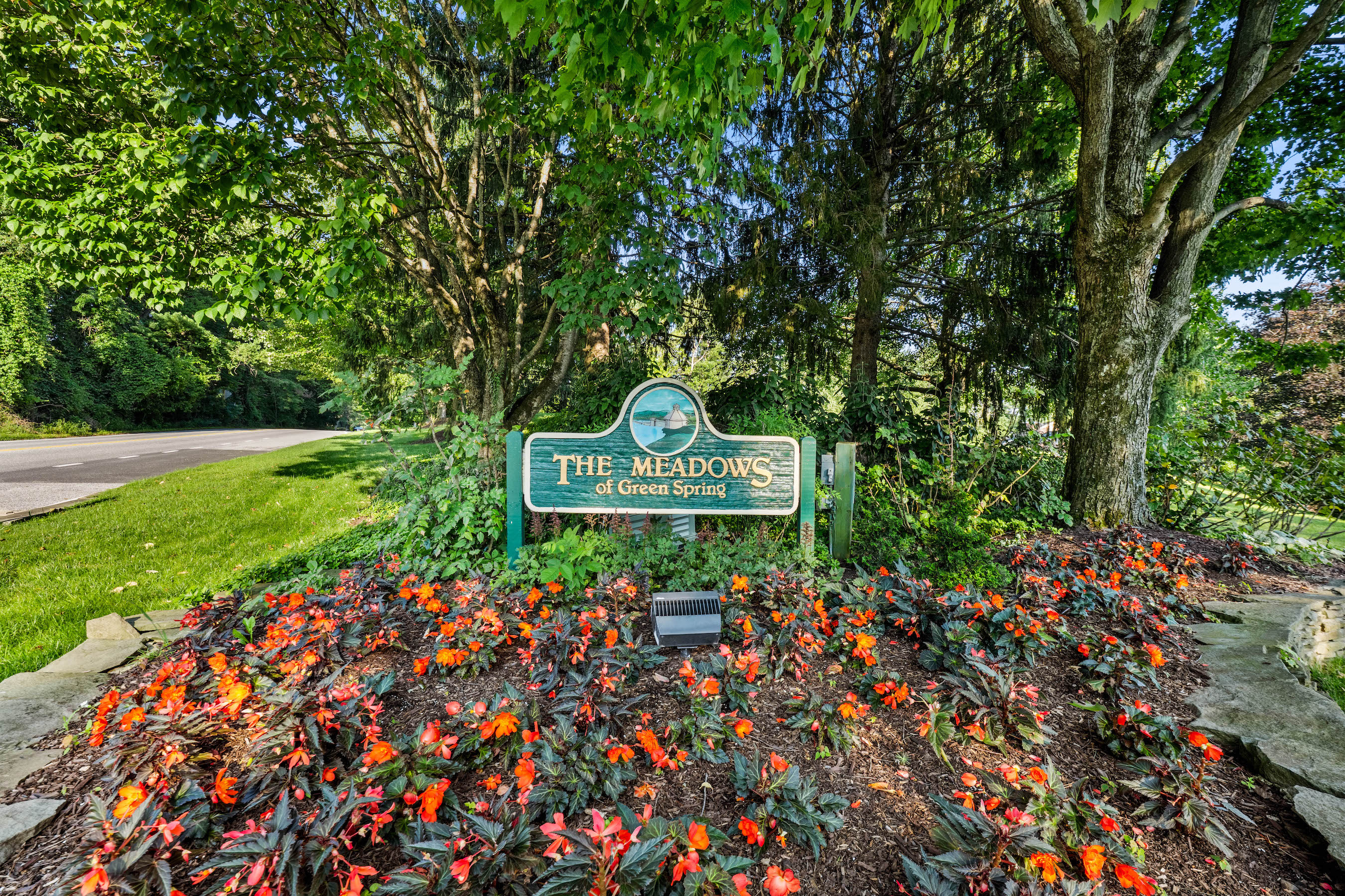  The Meadows of Green Spring - 物件實景