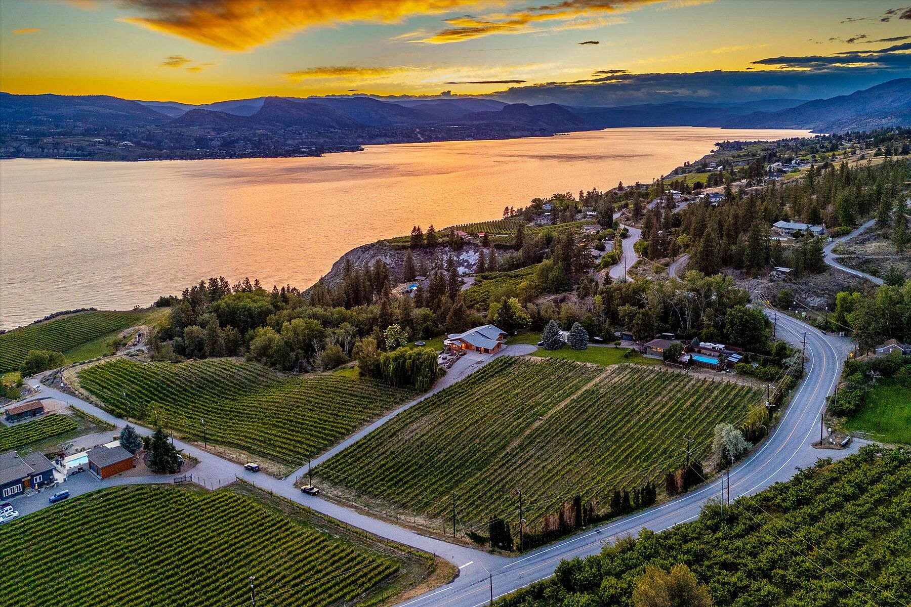  Multiple Homes on a Vineyard - 物件實景