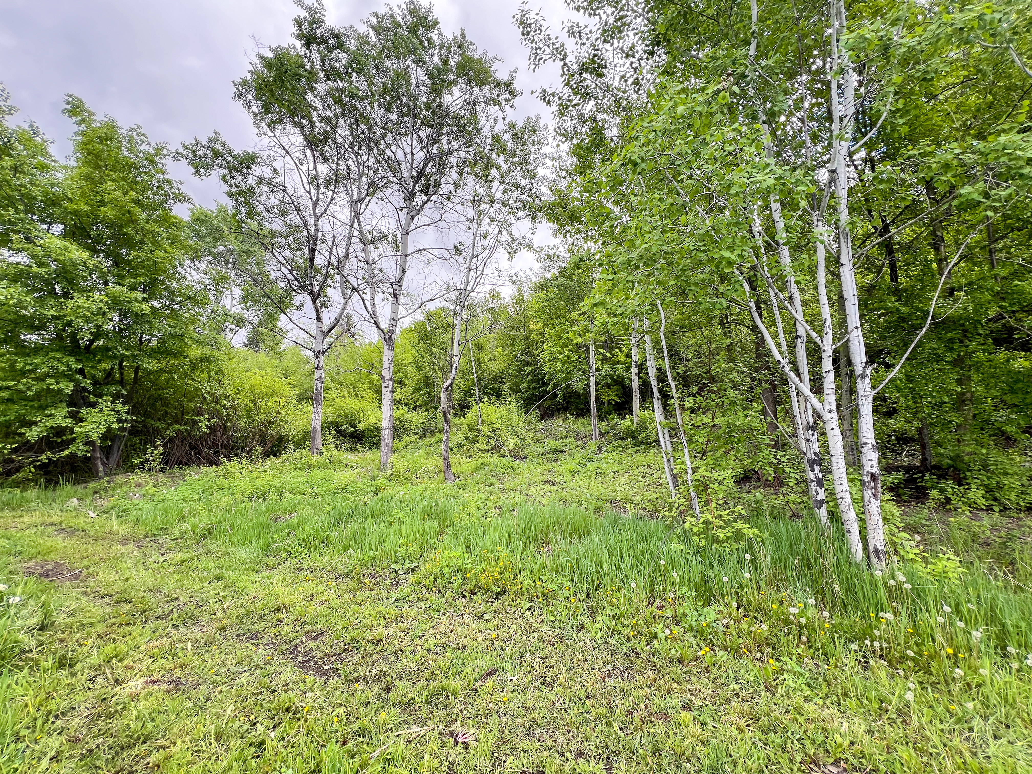 Kettle Falls, Washington, 99141, United States, 3 Bedrooms Bedrooms, ,2 BathroomsBathrooms,Residential,For Sale,1985709